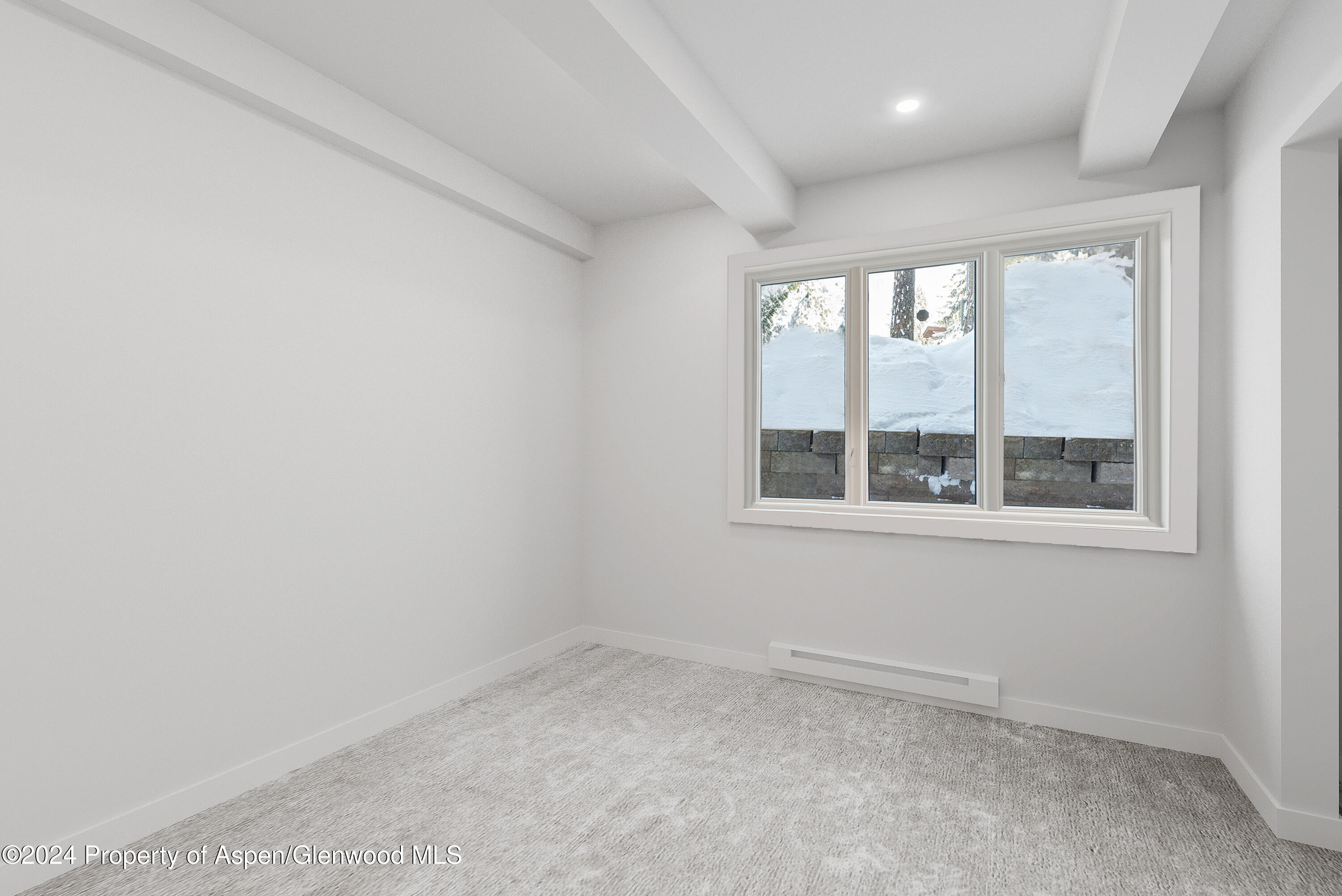 1039 E Cooper Avenue Aspen CO 81611