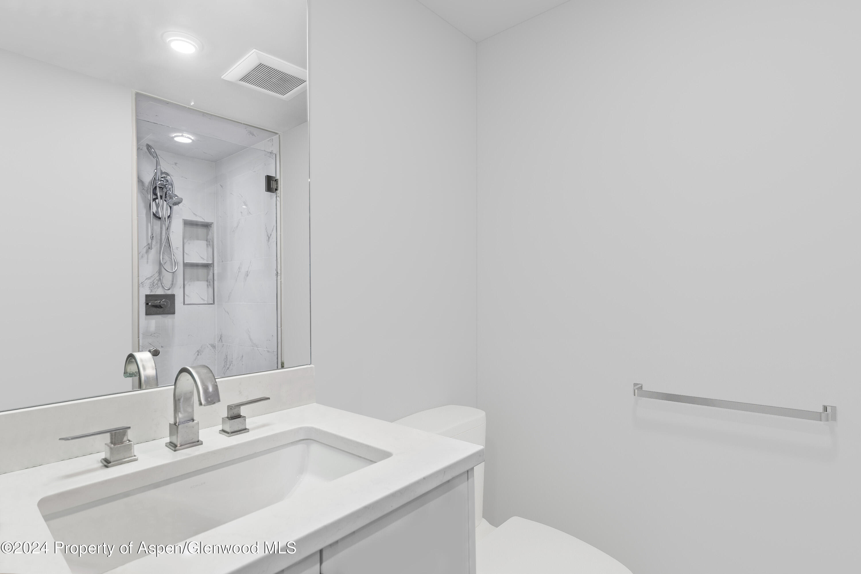 1039 E Cooper Avenue Aspen CO 81611