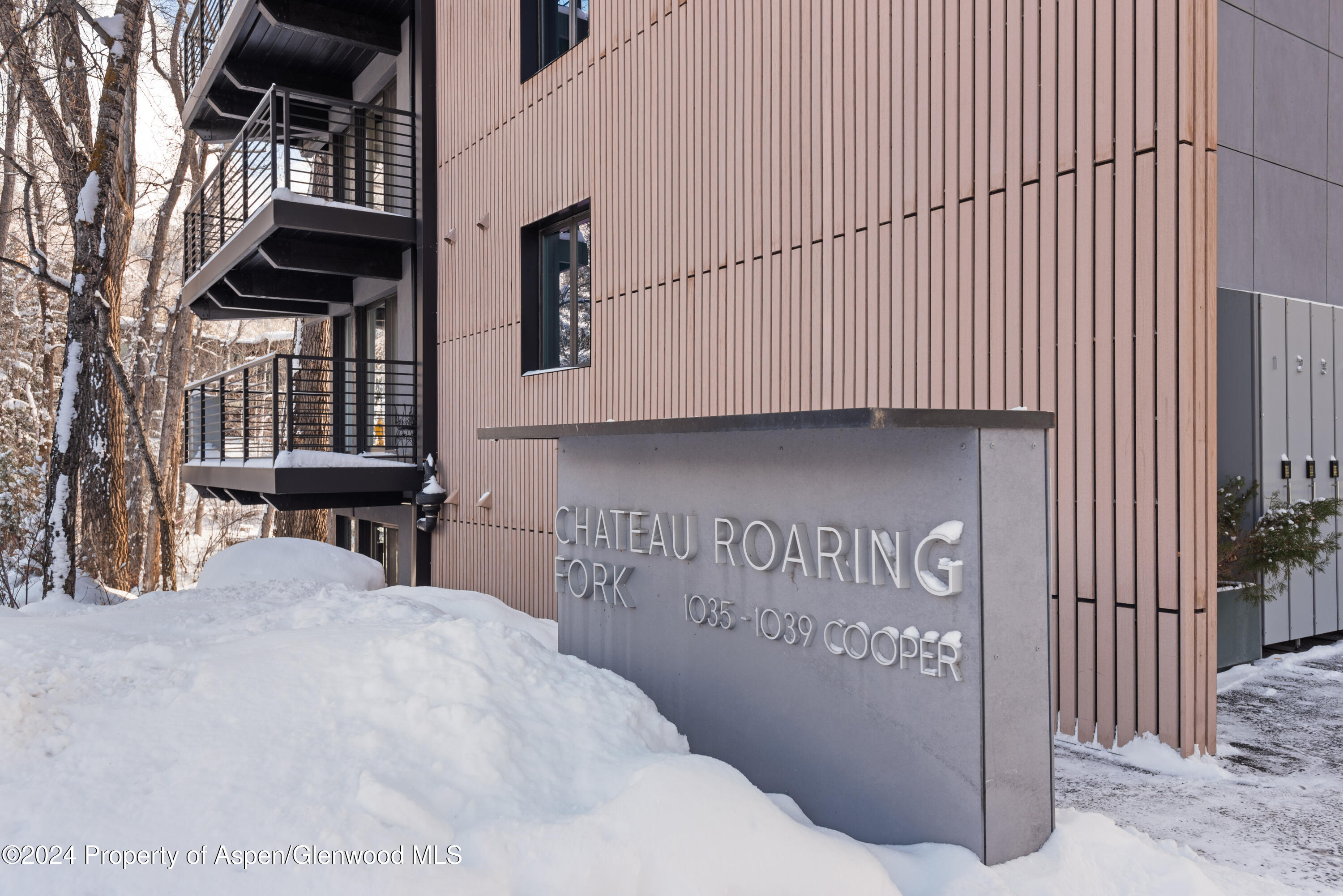 1039 E Cooper Avenue Aspen CO 81611