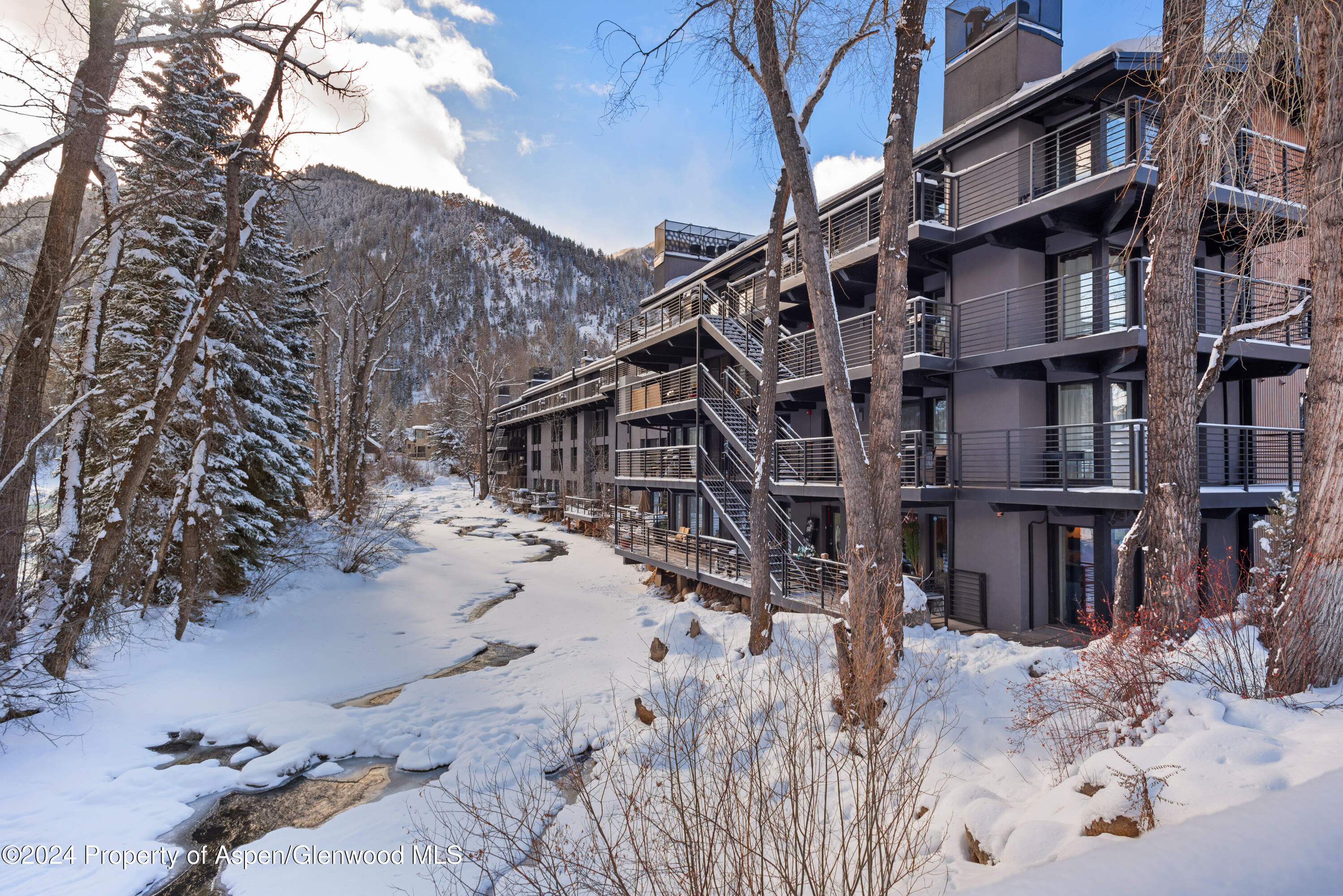 1039 E Cooper Avenue Aspen CO 81611