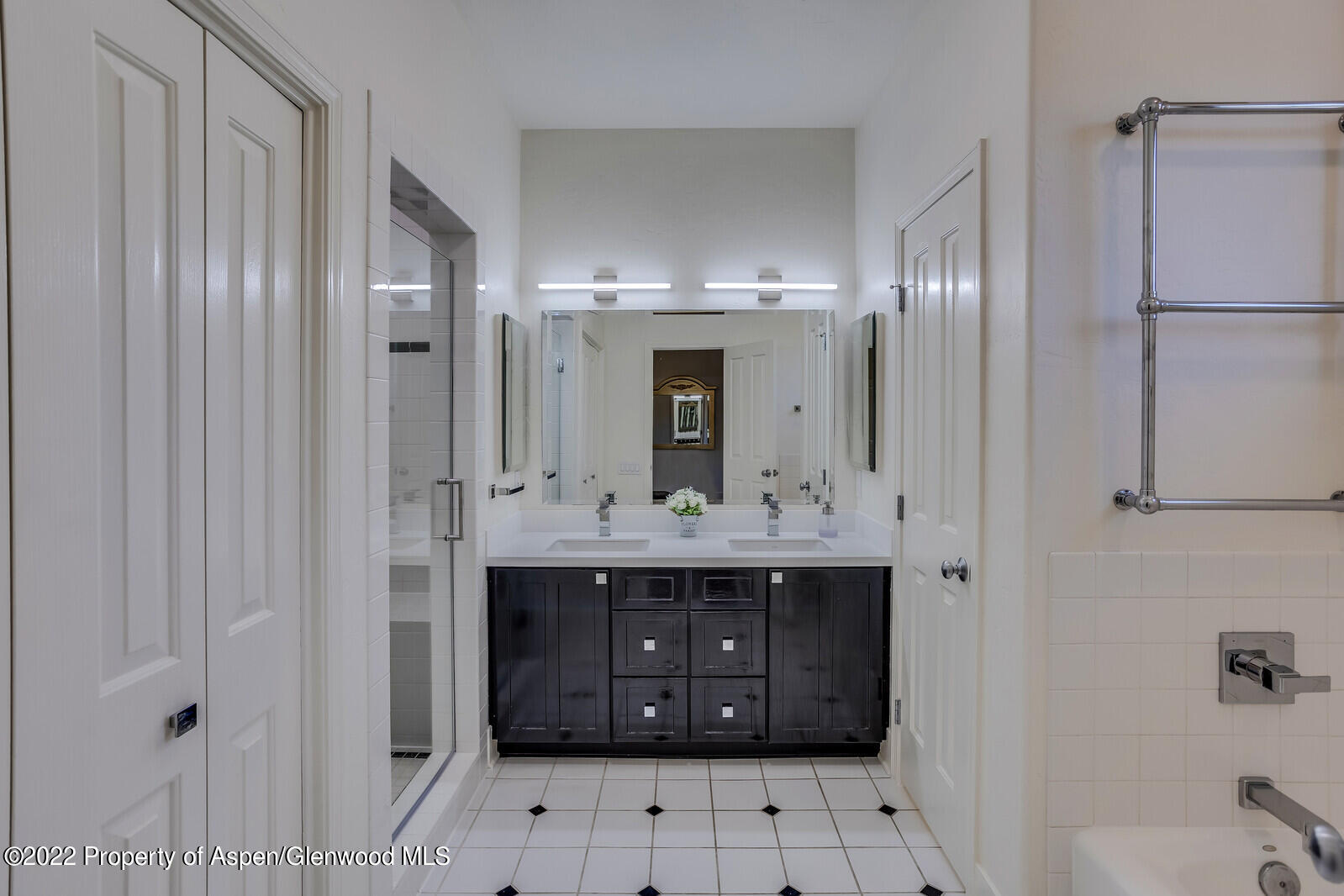 620 Evans Court Basalt CO 81621