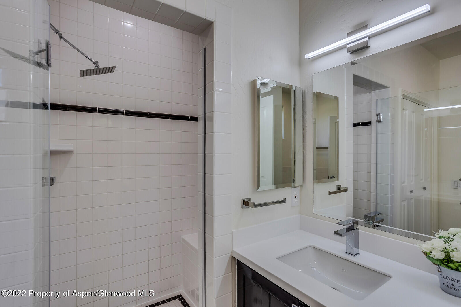 620 Evans Court Basalt CO 81621
