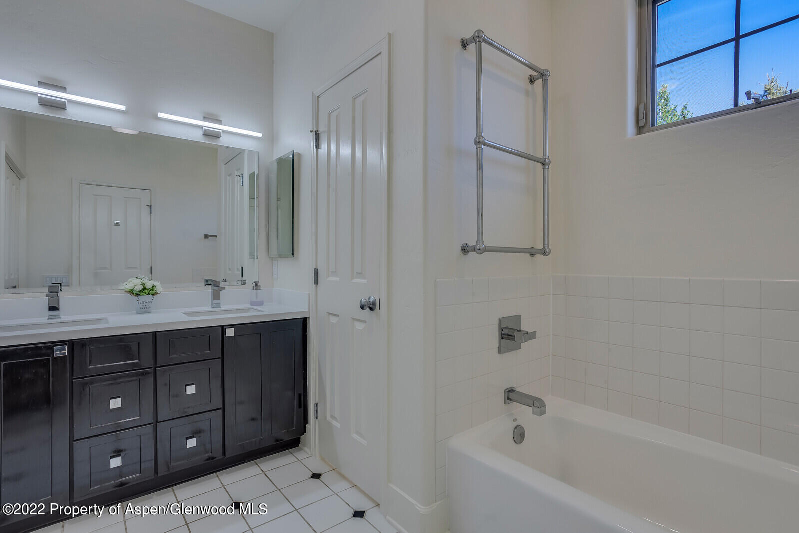 620 Evans Court Basalt CO 81621