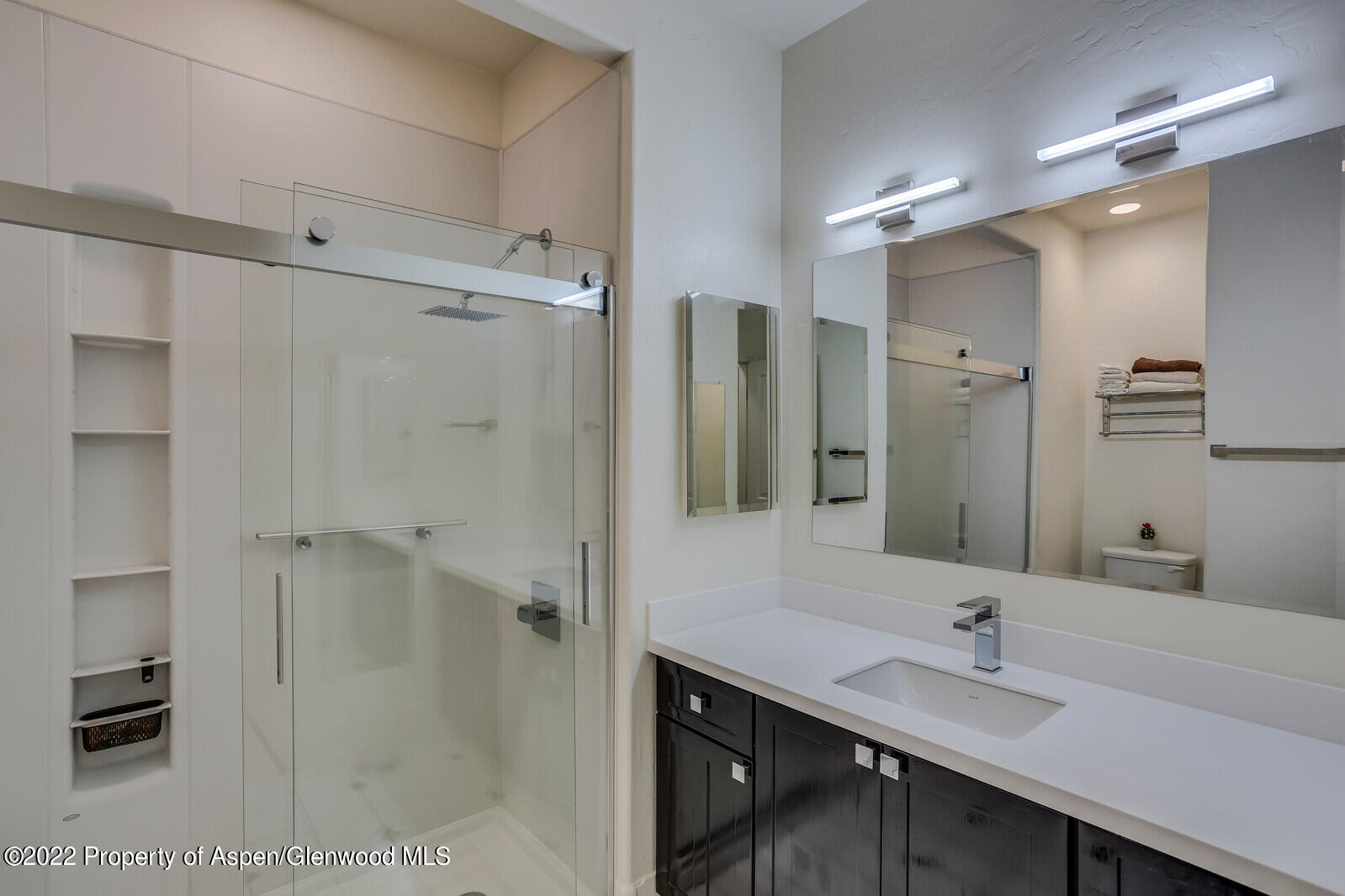 620 Evans Court Basalt CO 81621