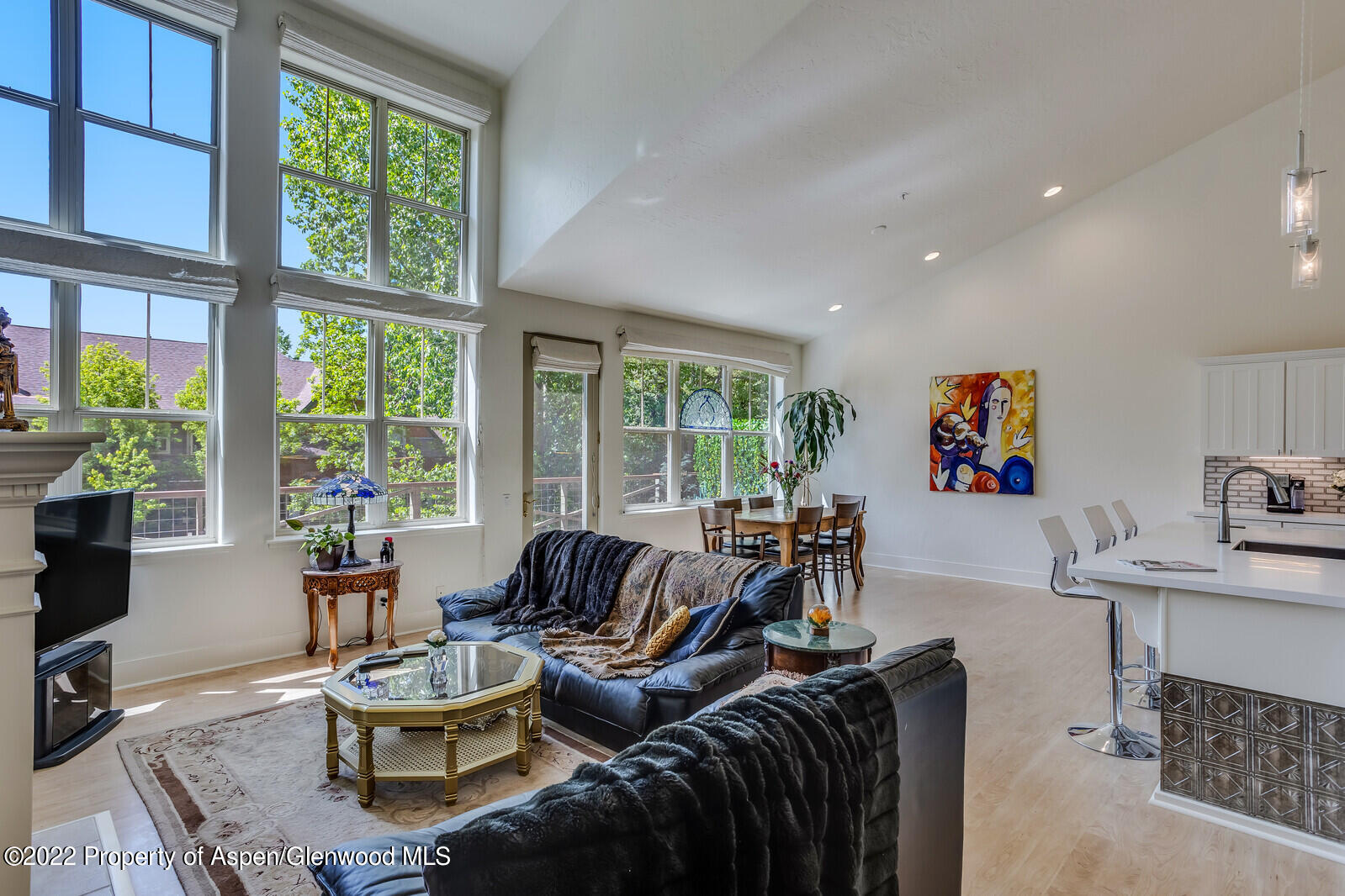 620 Evans Court Basalt CO 81621