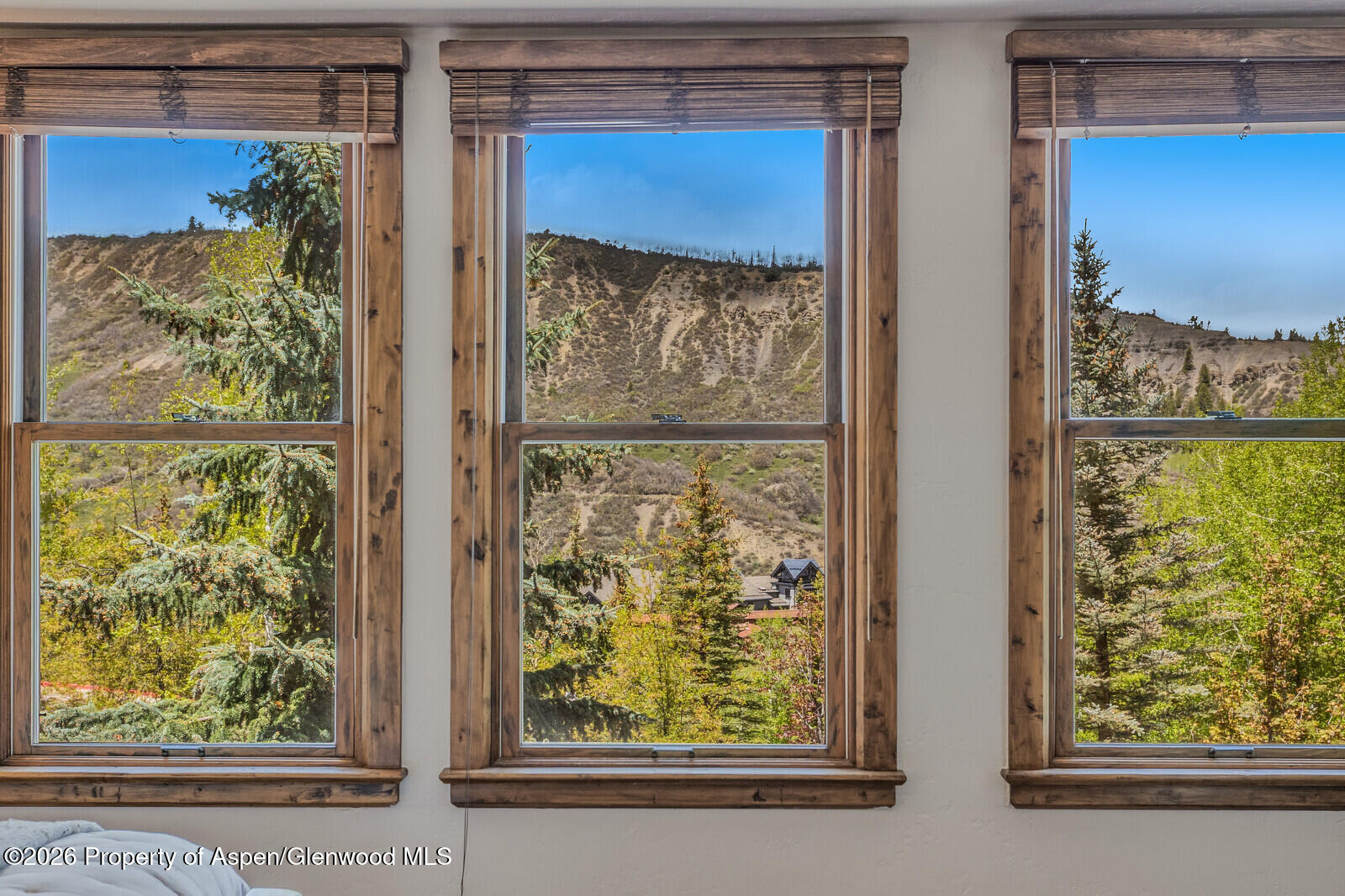 425 Wood Road Snowmass Village CO 81615