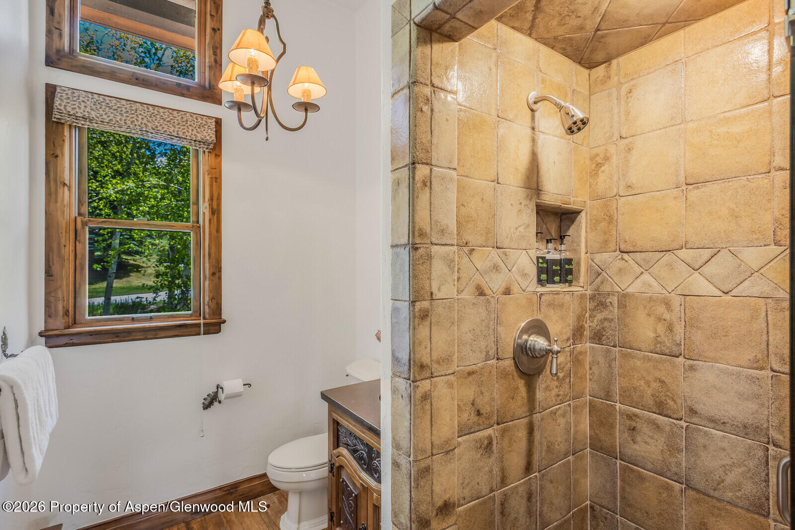 425 Wood Road Snowmass Village CO 81615