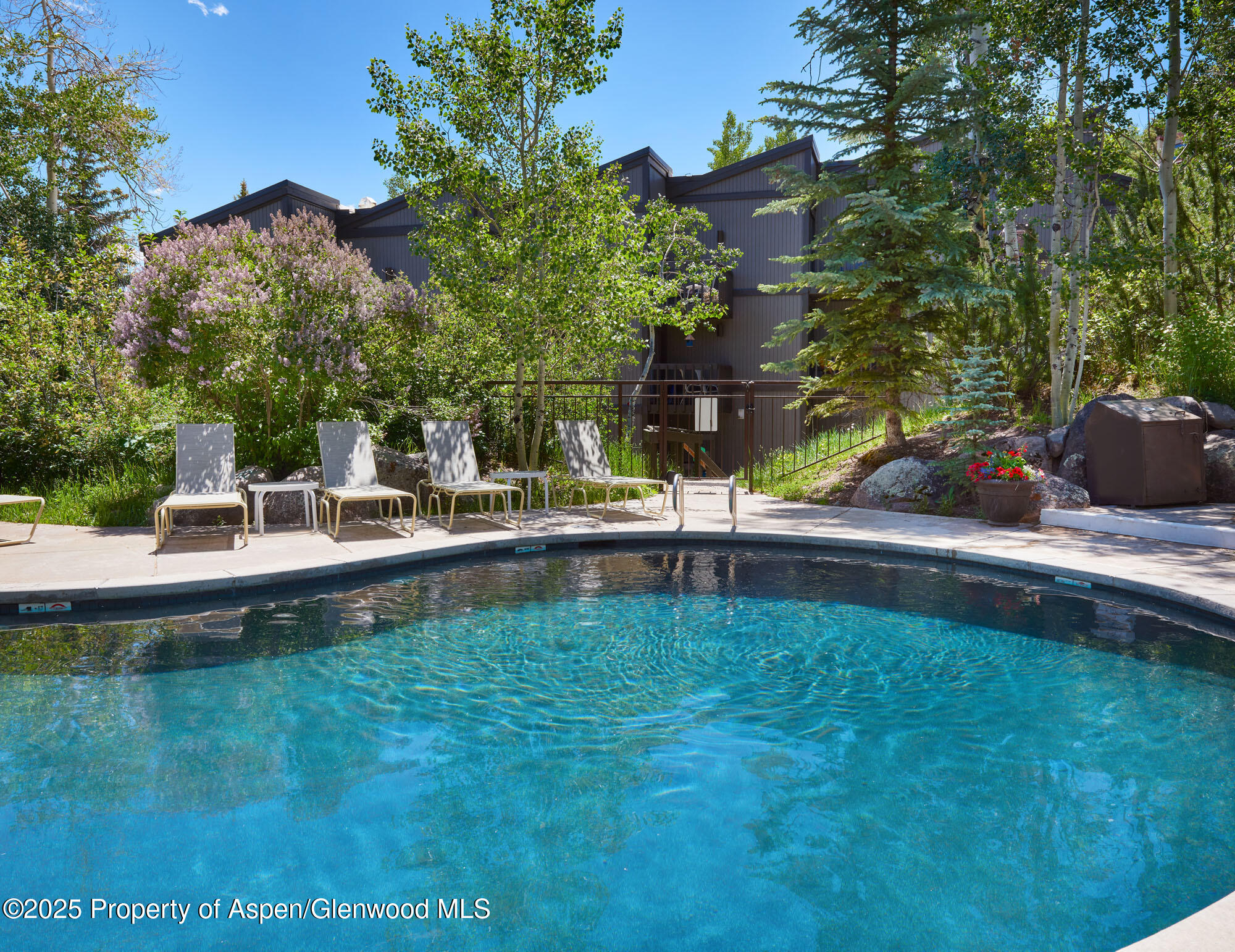 600 Carriage Way Snowmass Village CO 81615