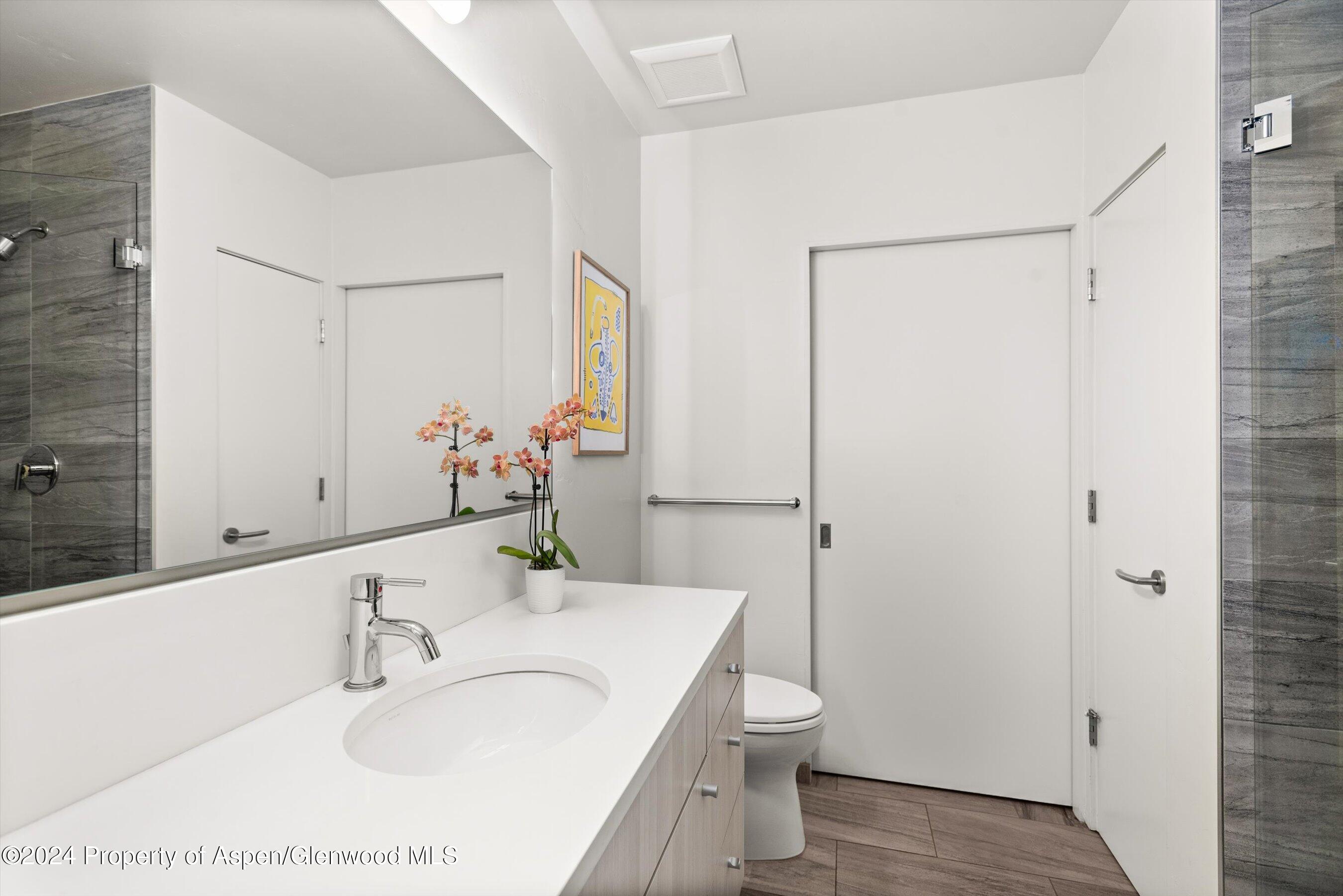 102 Evans Road Basalt CO 81621