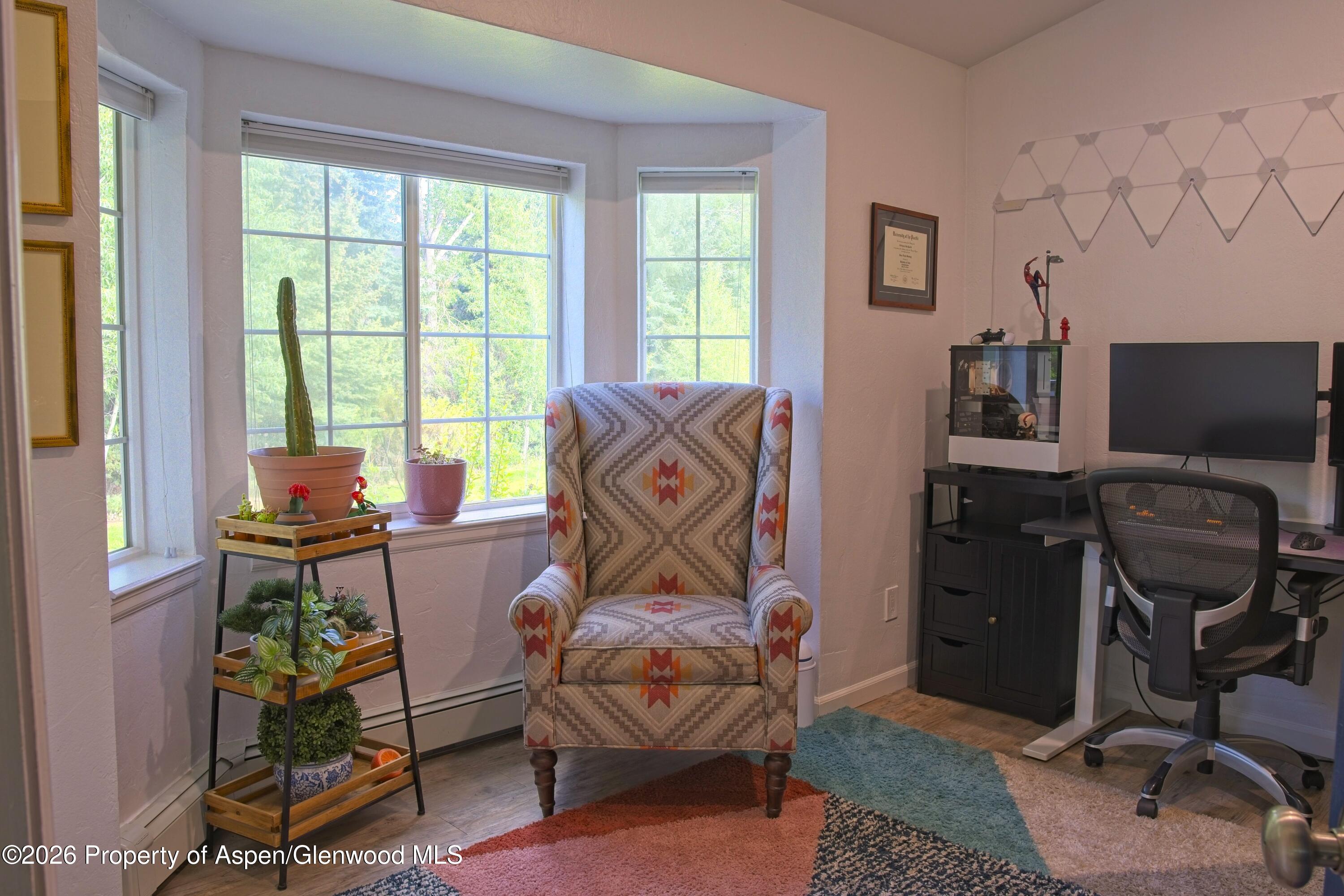 7204 Elk Lane Basalt CO 81621