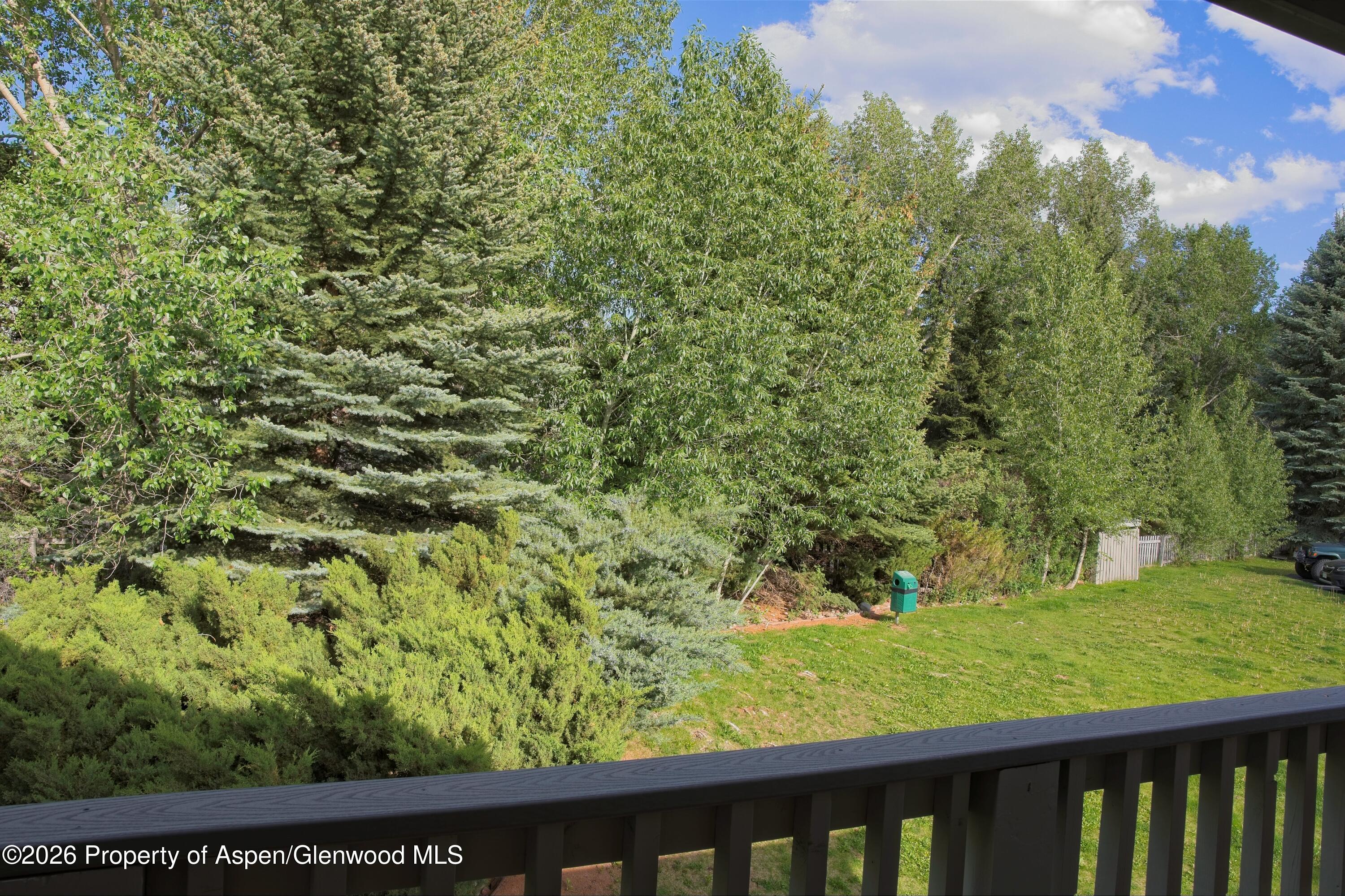 7204 Elk Lane Basalt CO 81621