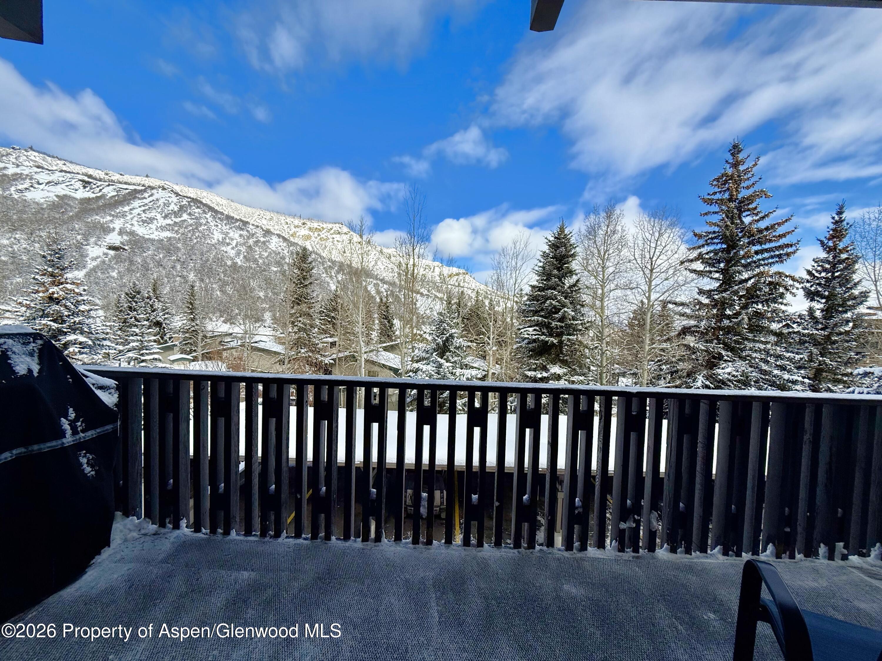 150 Carriage Way Snowmass Village CO 81615