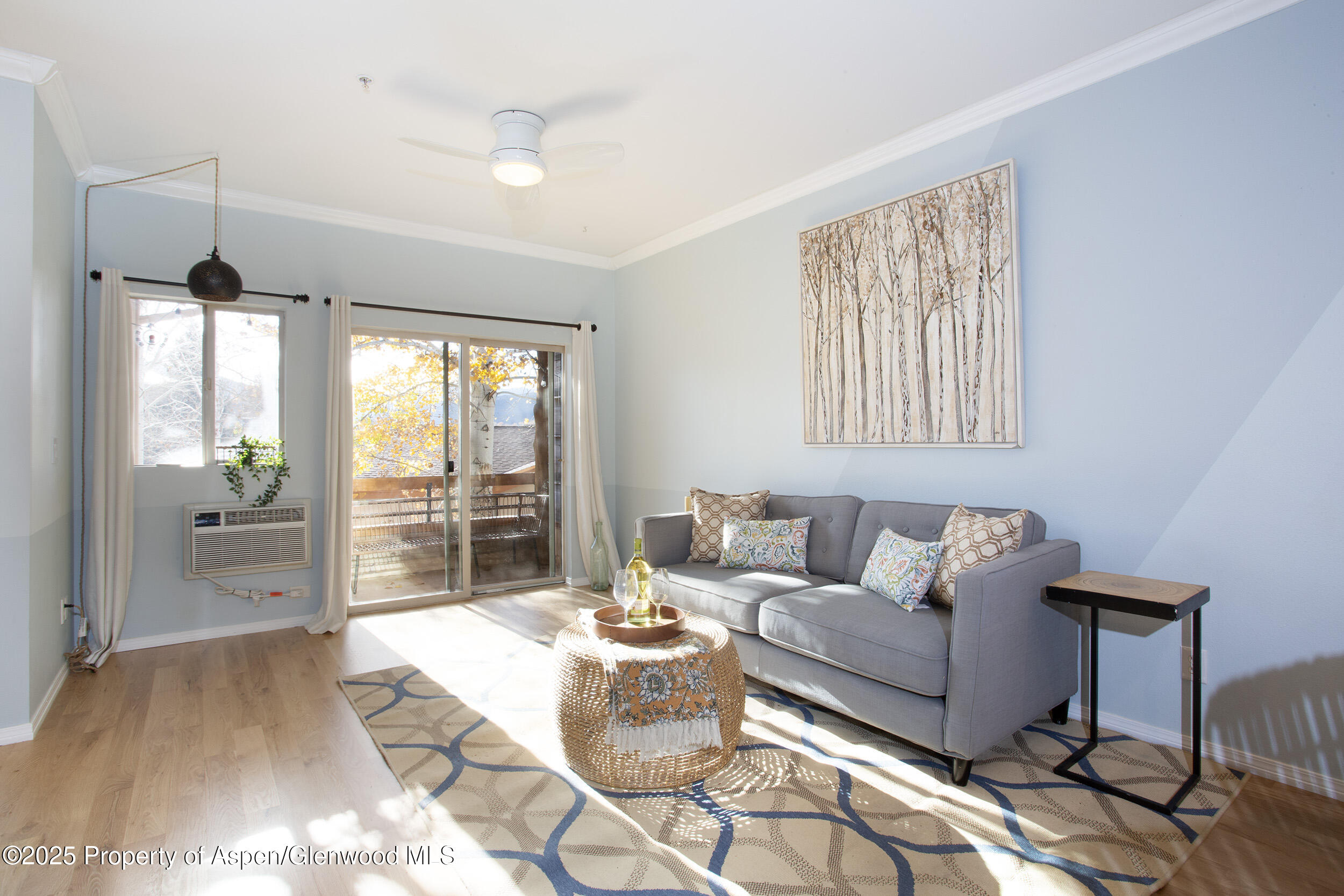 1400 E E Valley Road Basalt CO 81621