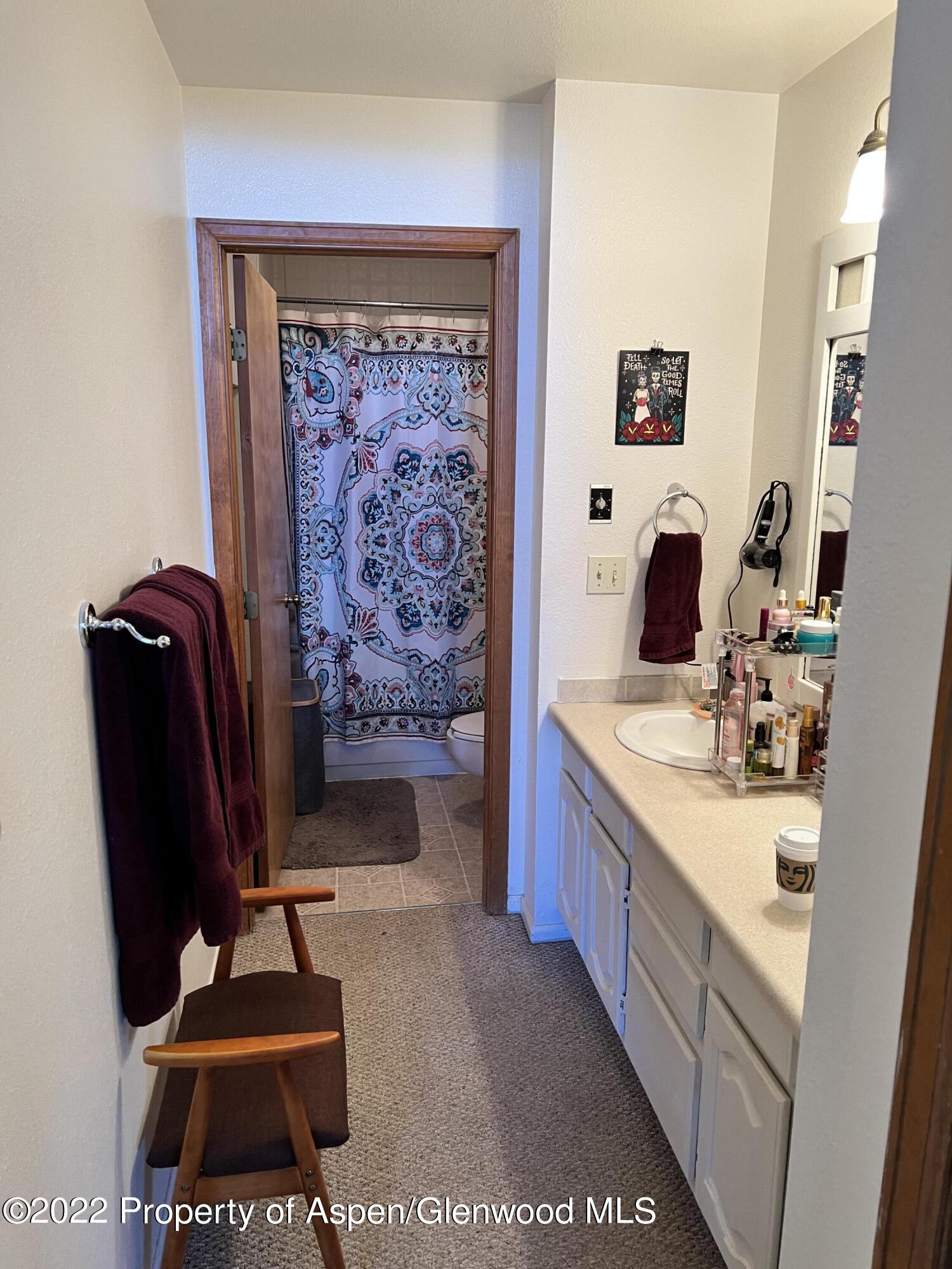 70 Silverado Drive Basalt CO 81621