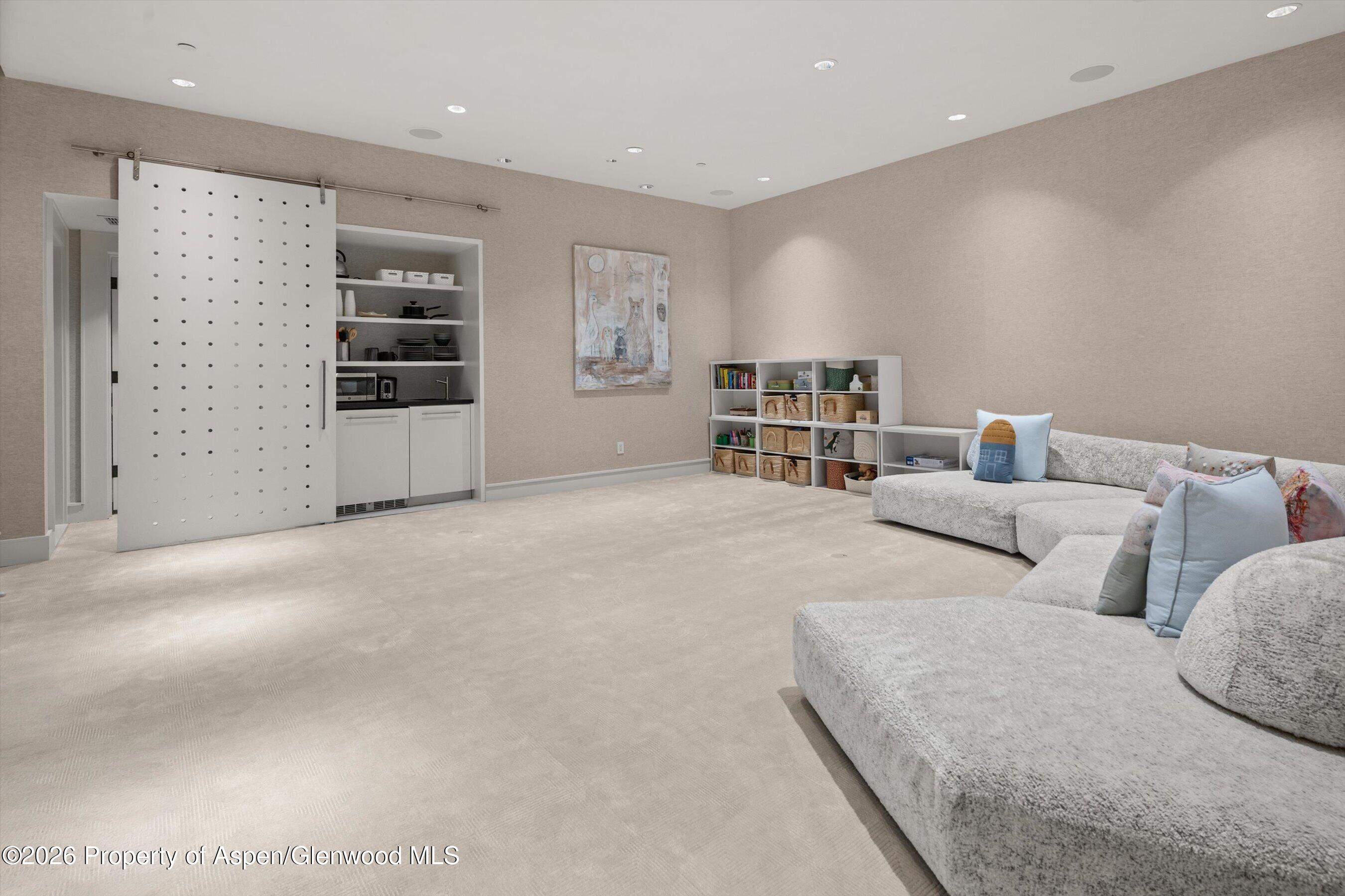 917 S Mill Street Aspen CO 81611