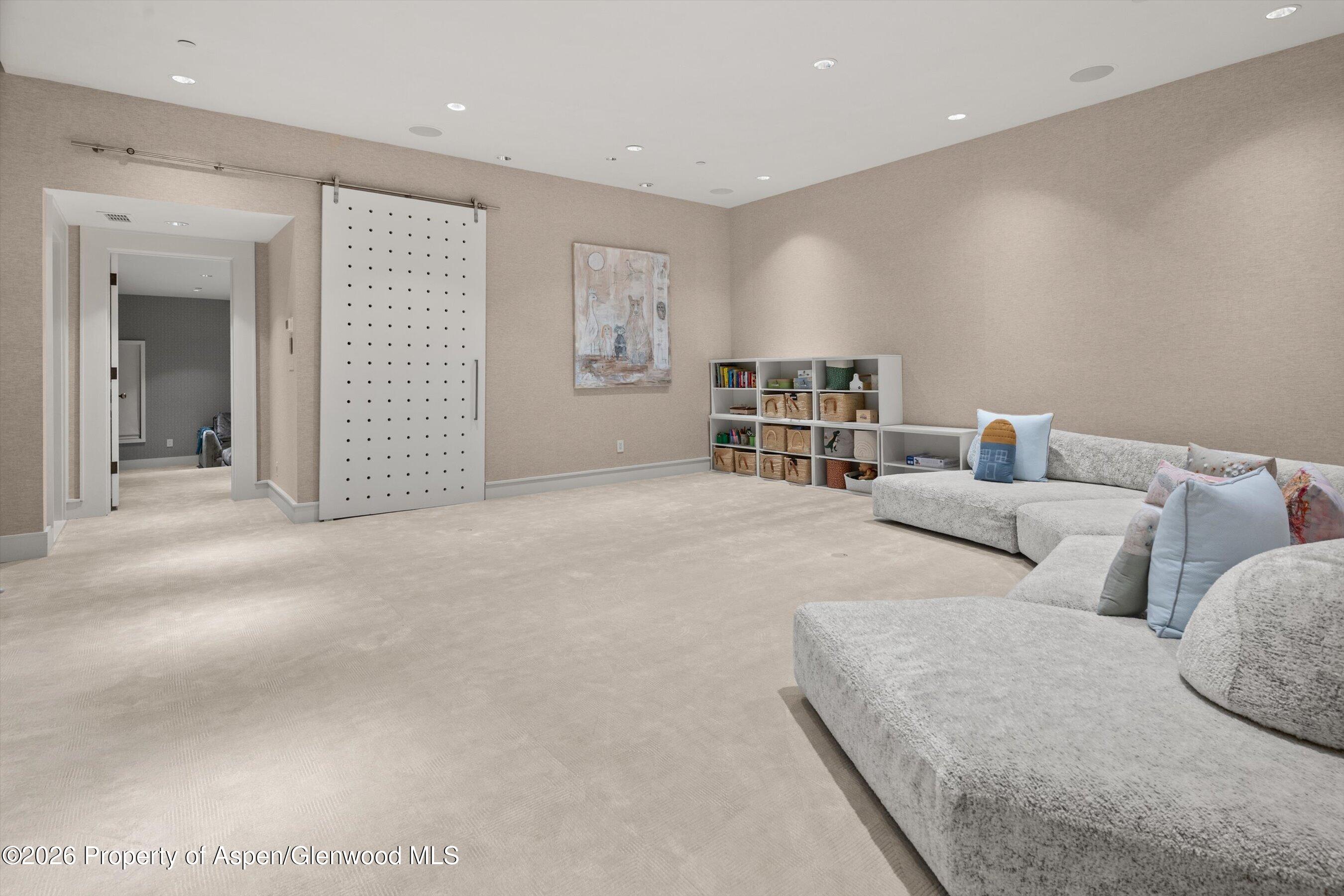 917 S Mill Street Aspen CO 81611