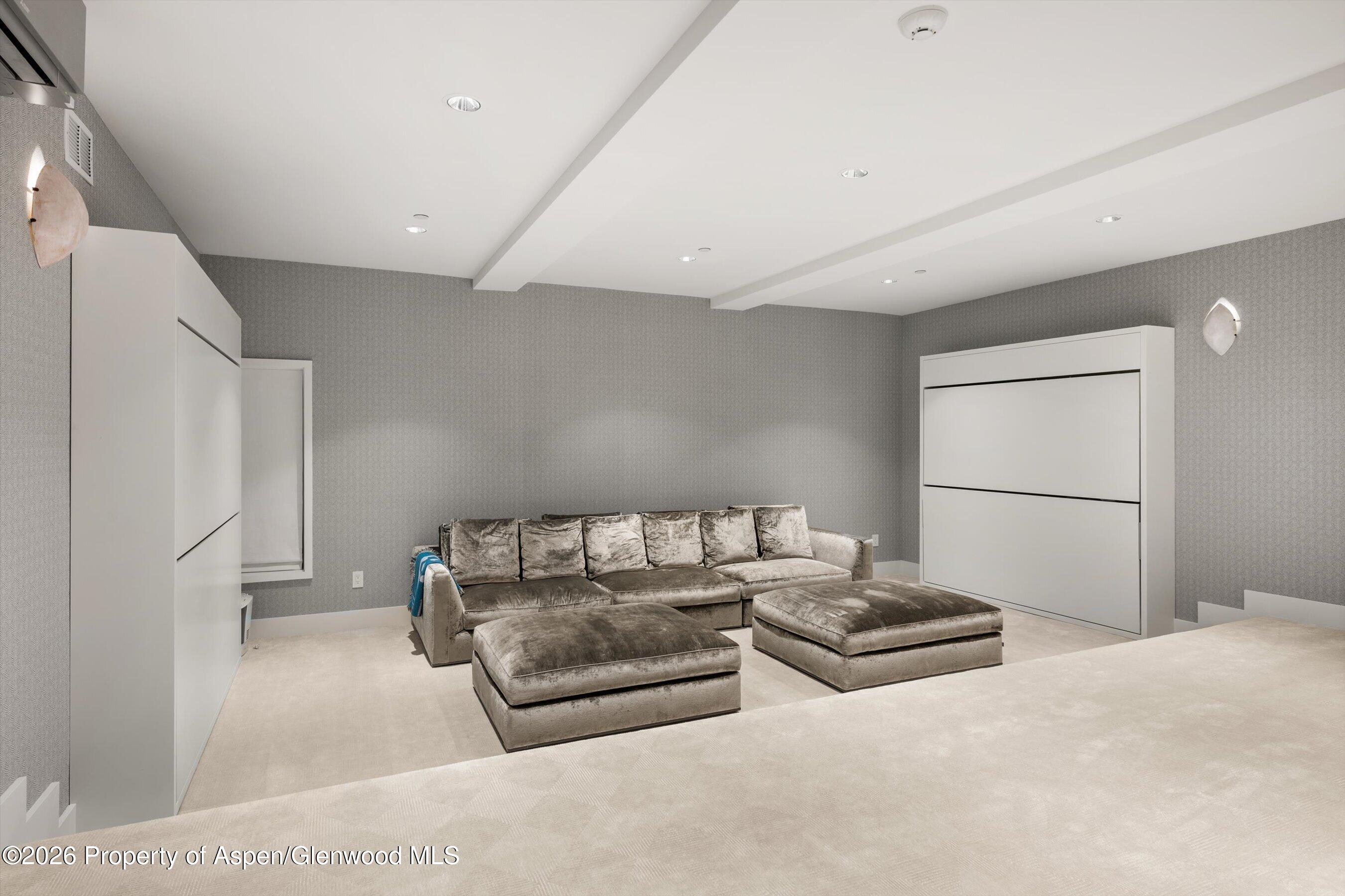 917 S Mill Street Aspen CO 81611