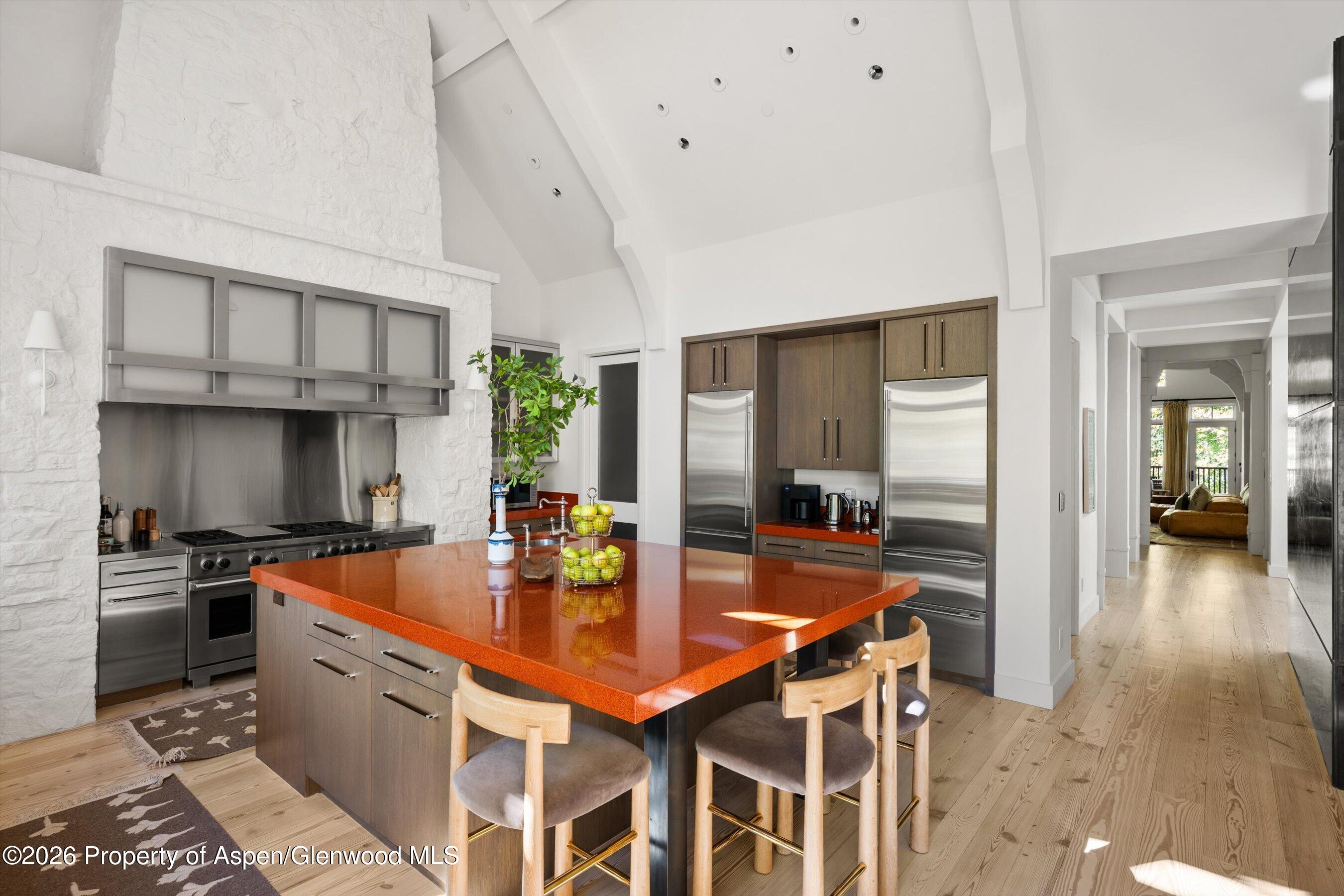 917 S Mill Street Aspen CO 81611
