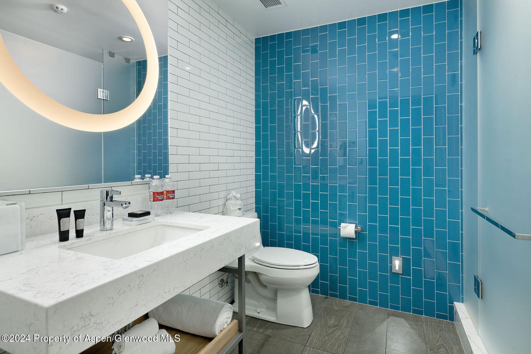 550 S Spring Street Aspen CO 81611