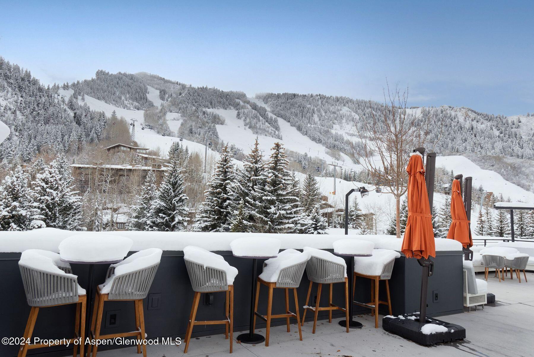 550 S Spring Street Aspen CO 81611