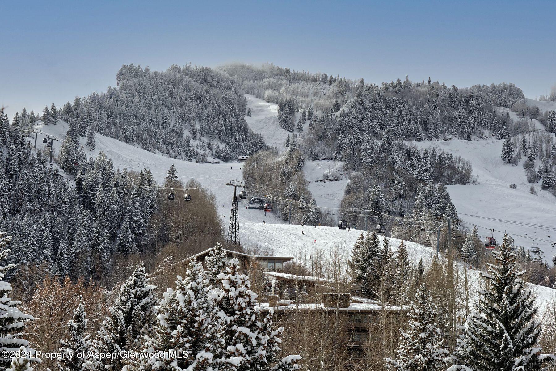 550 S Spring Street Aspen CO 81611