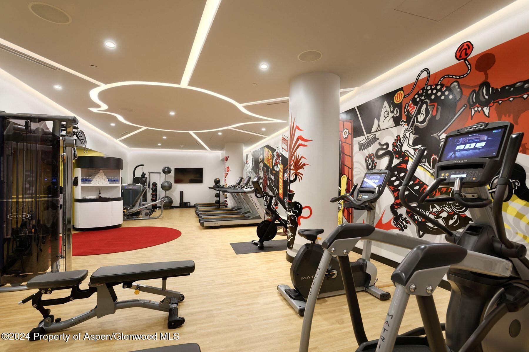 550 S Spring Street Aspen CO 81611