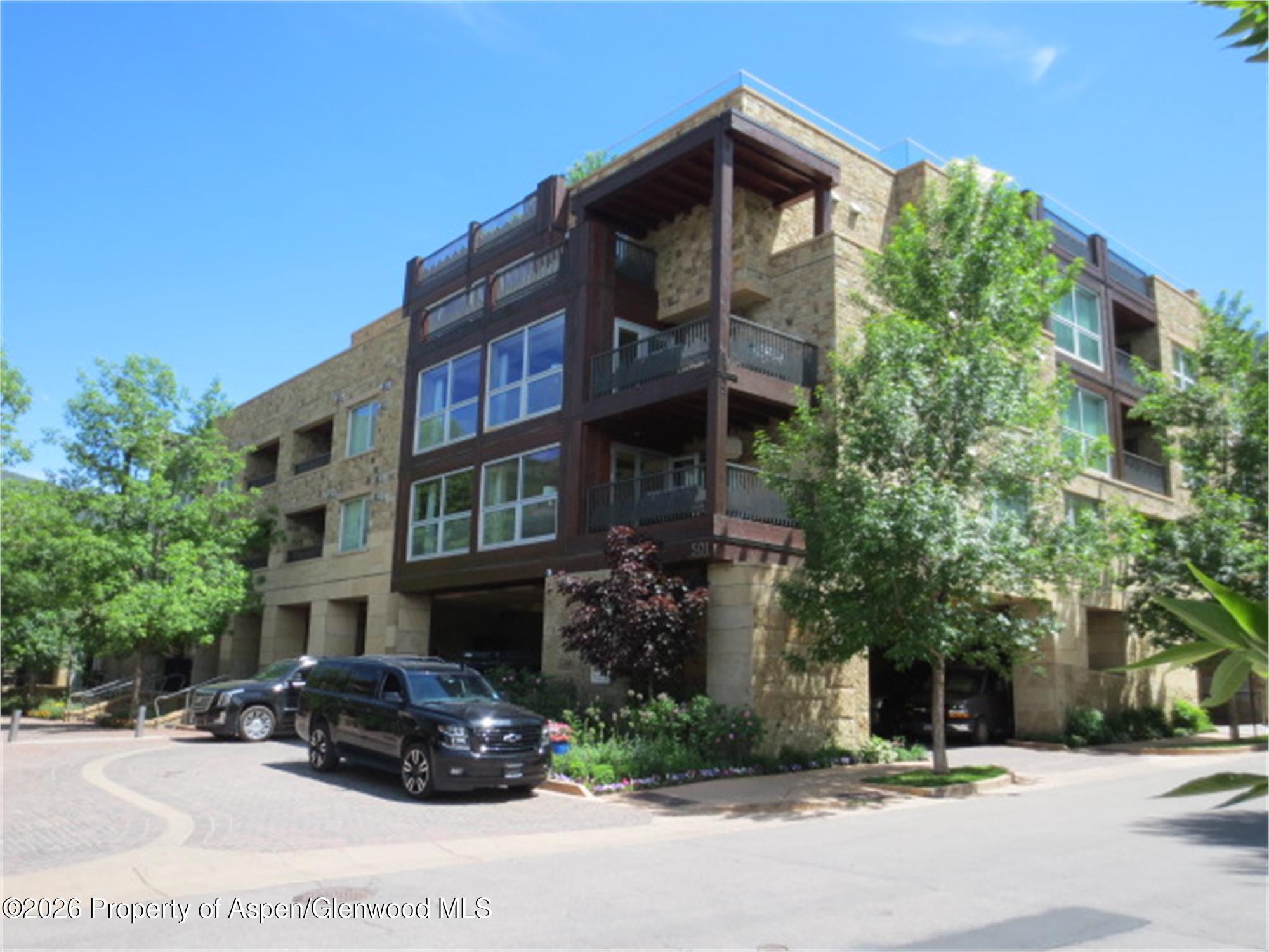 Aspen CO, 501 E Dean Street, Unit F203