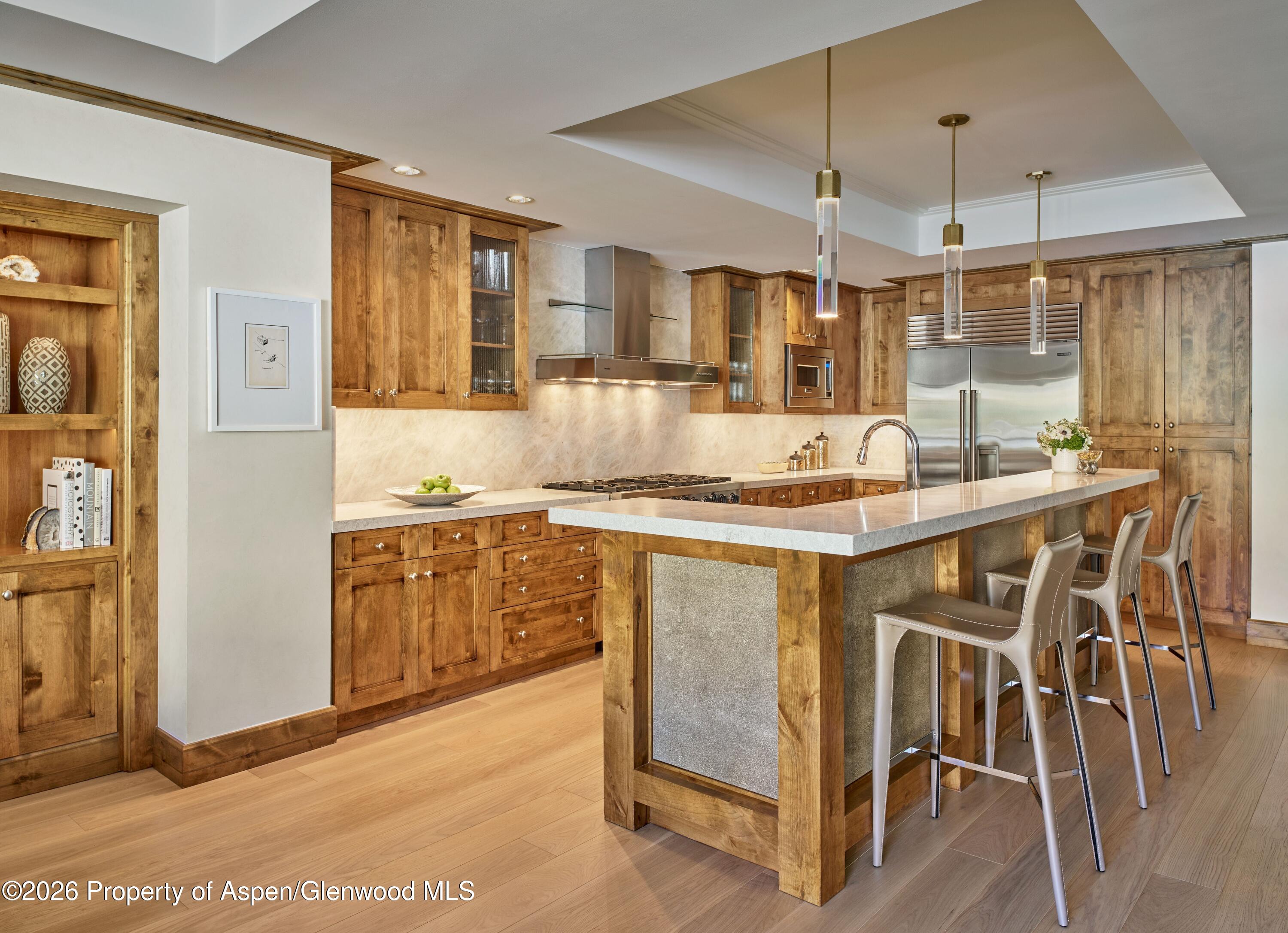 501 E Dean Street Aspen CO 81611