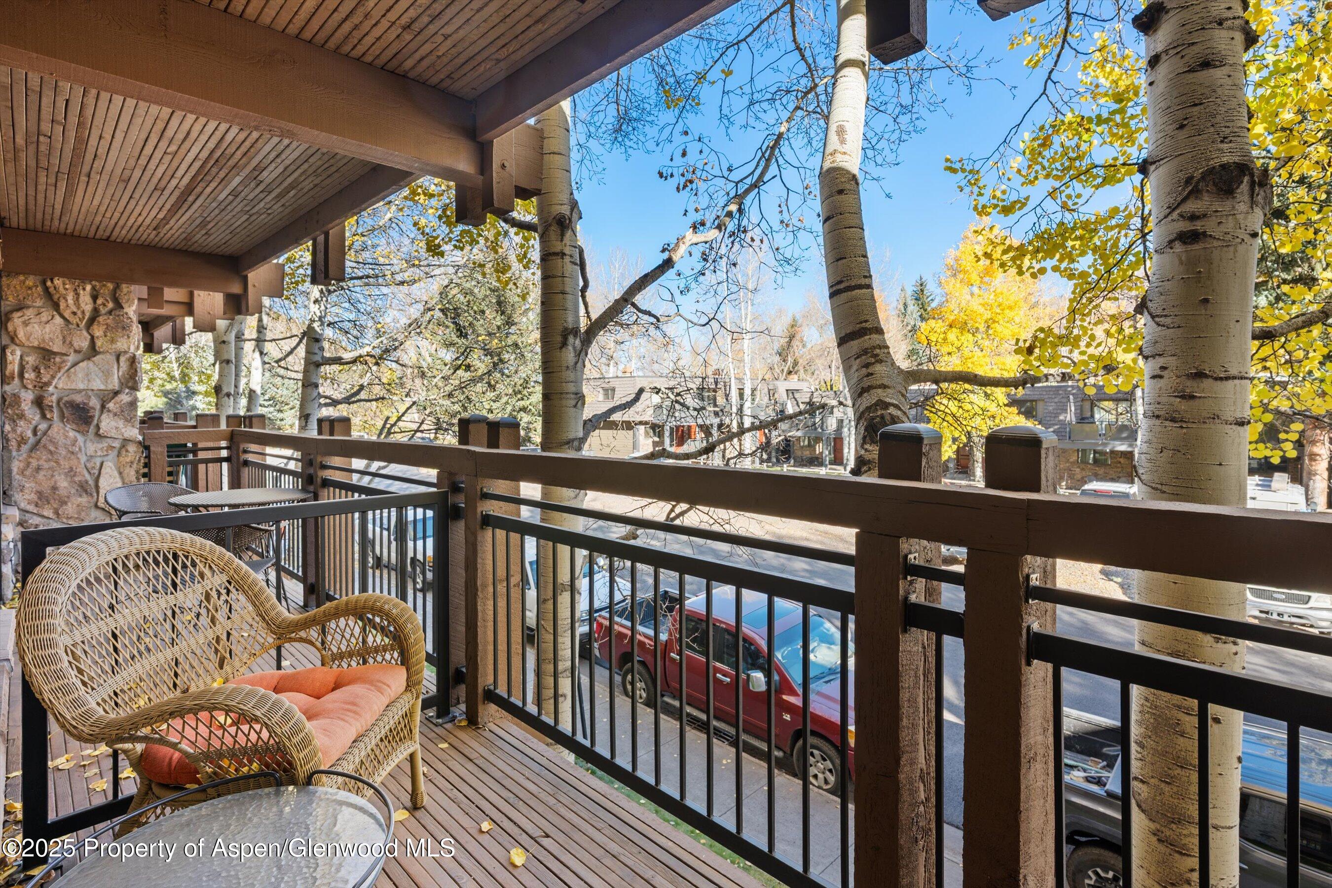 131 E Durant Avenue Aspen CO 81611