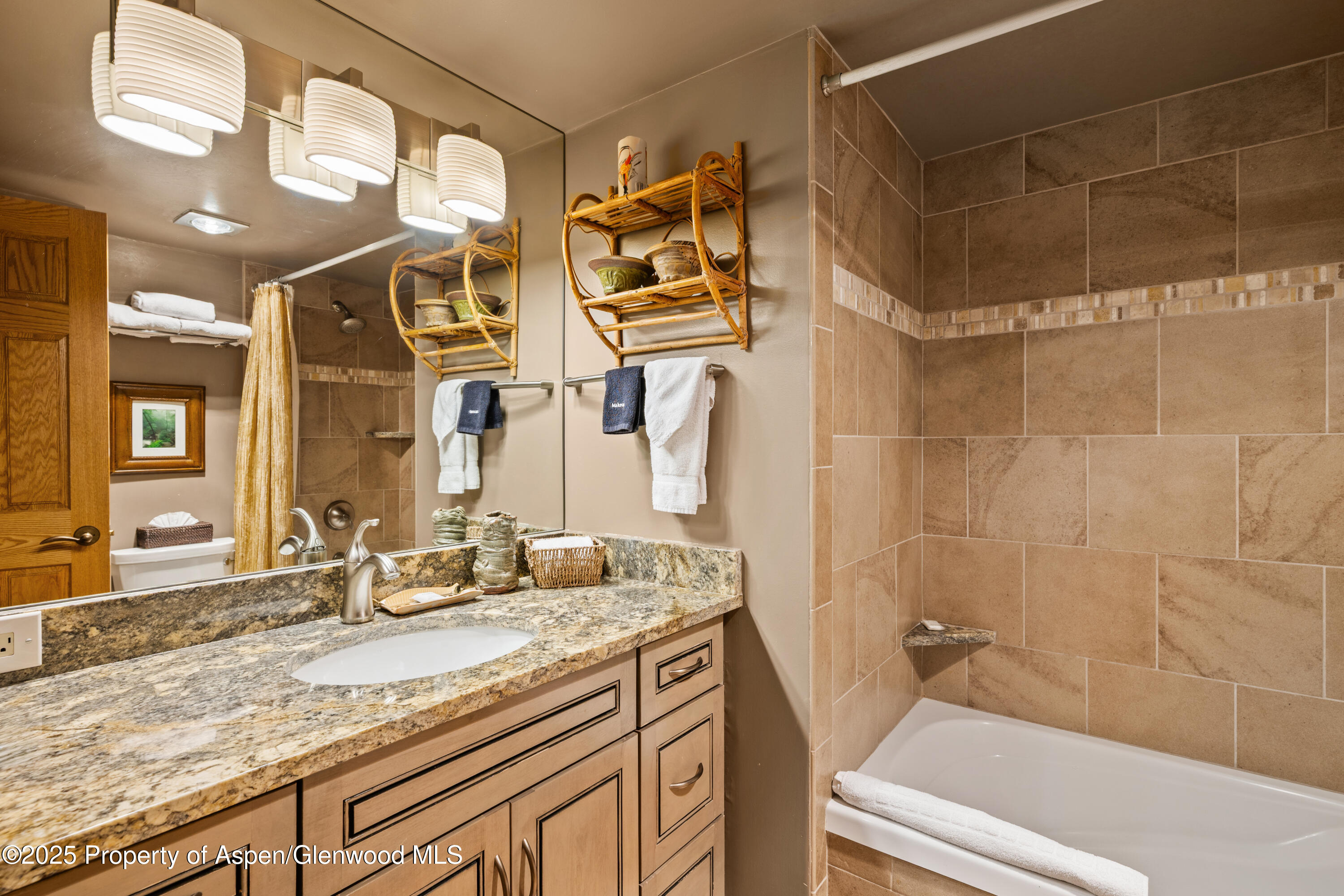 131 E Durant Avenue Aspen CO 81611