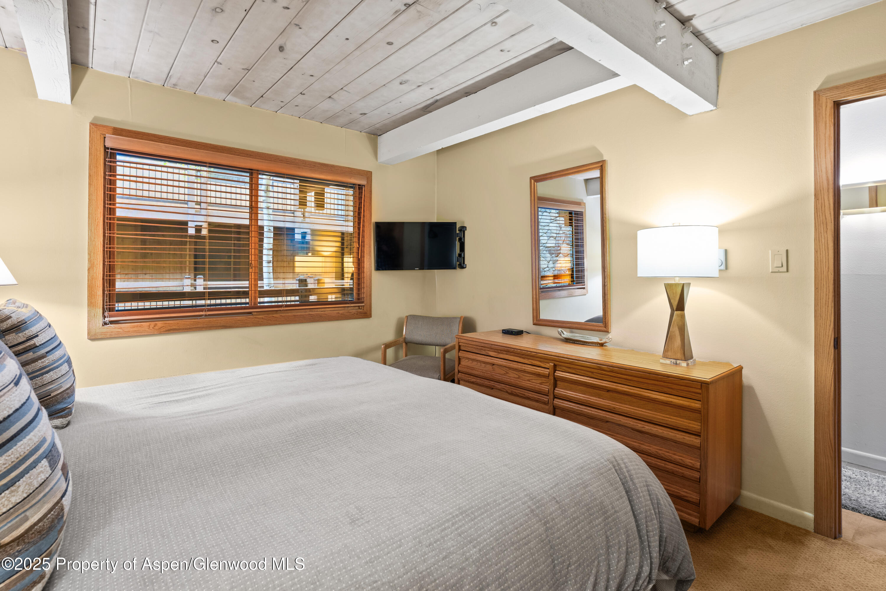 131 E Durant Avenue Aspen CO 81611