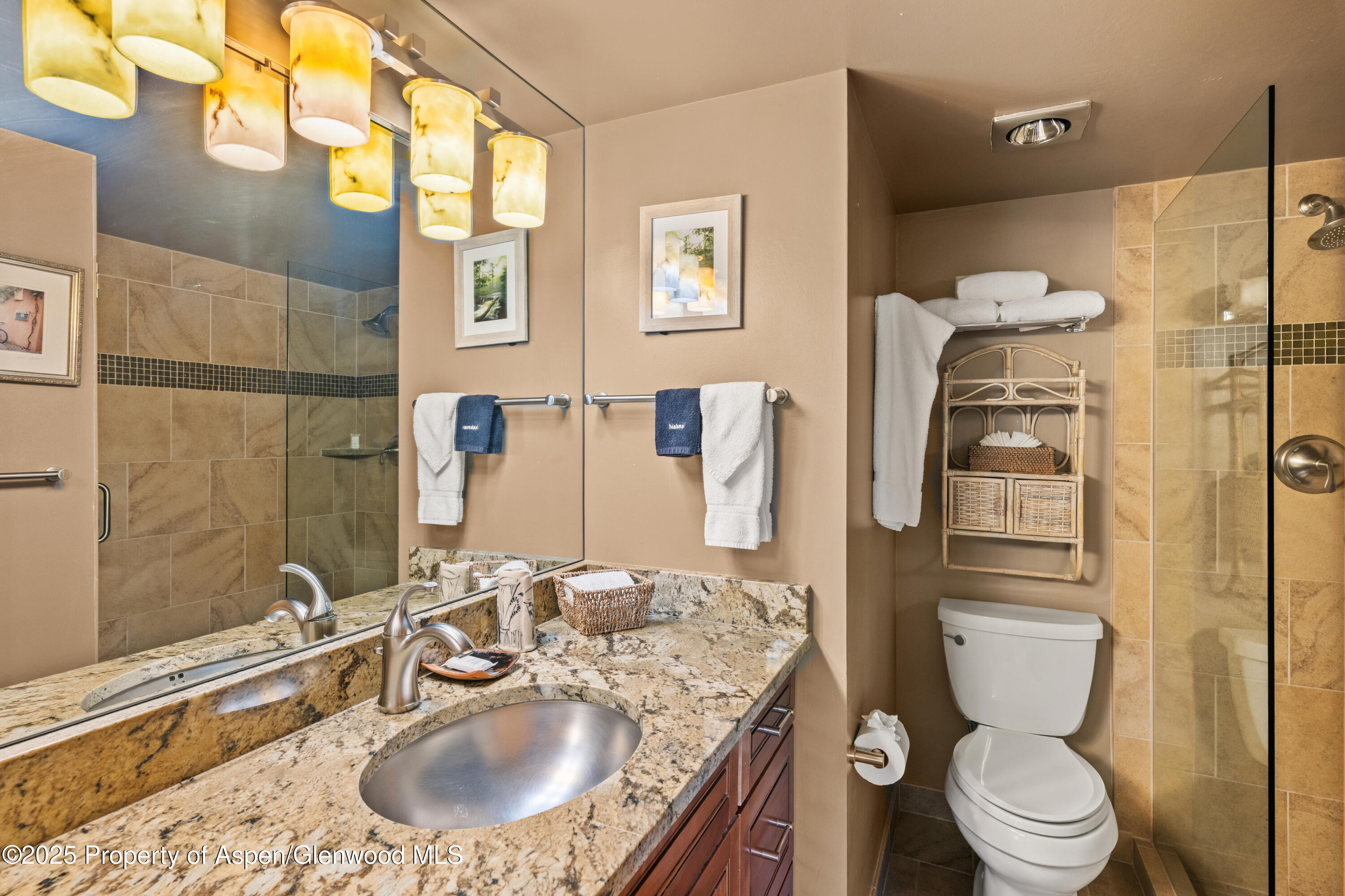 131 E Durant Avenue Aspen CO 81611