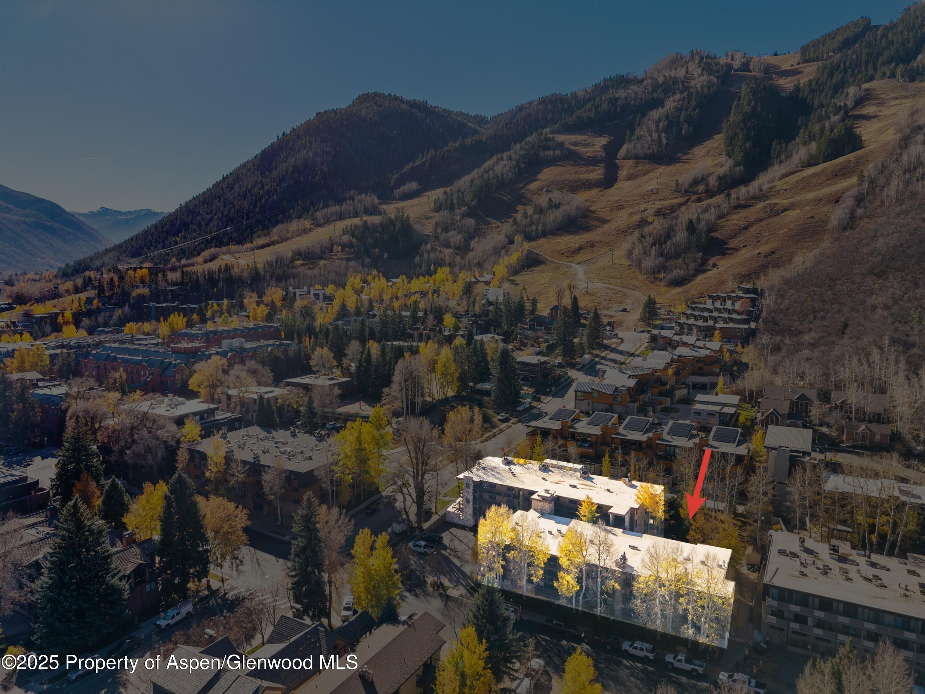 131 E Durant Avenue Aspen CO 81611