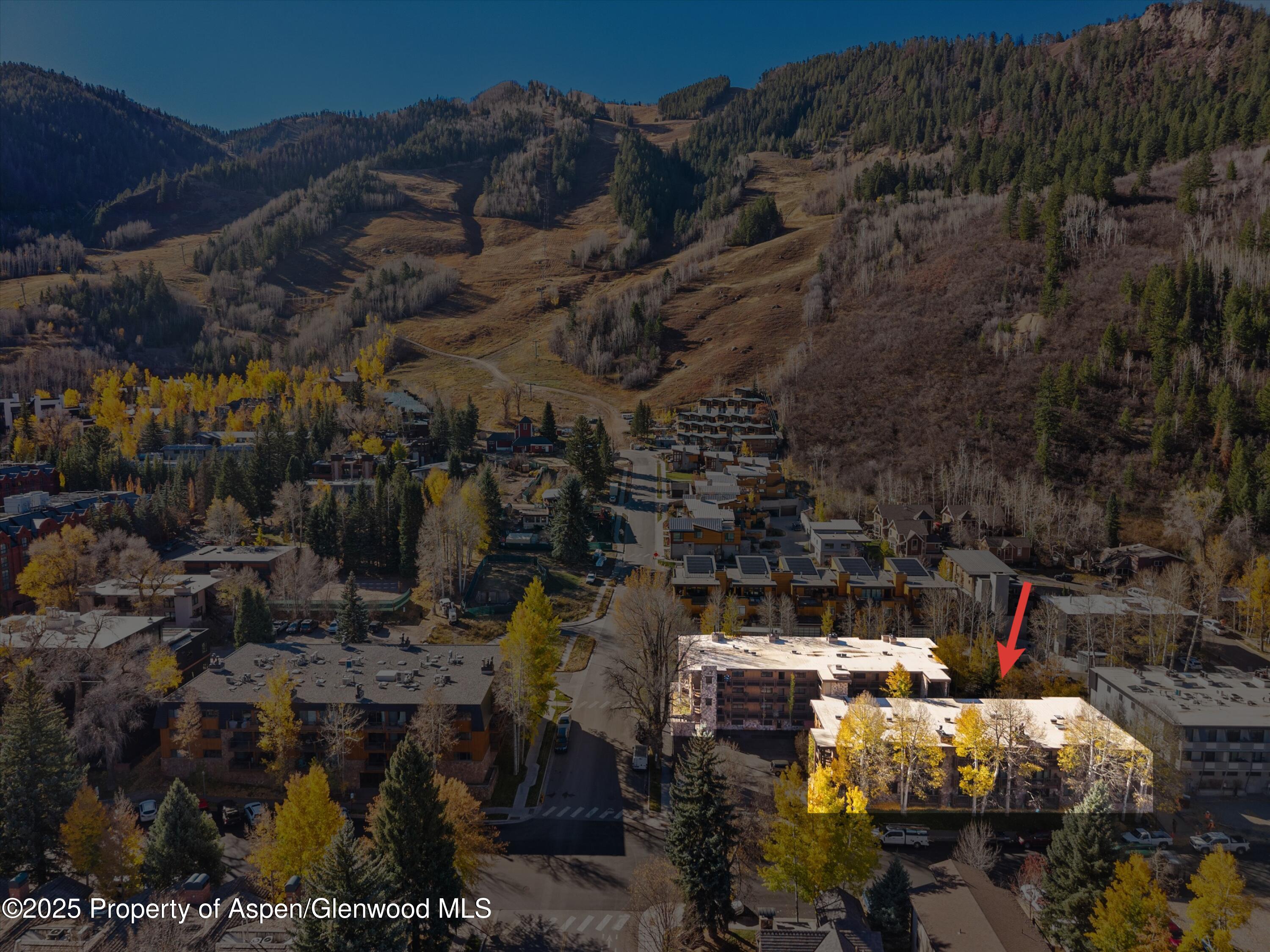 131 E Durant Avenue Aspen CO 81611