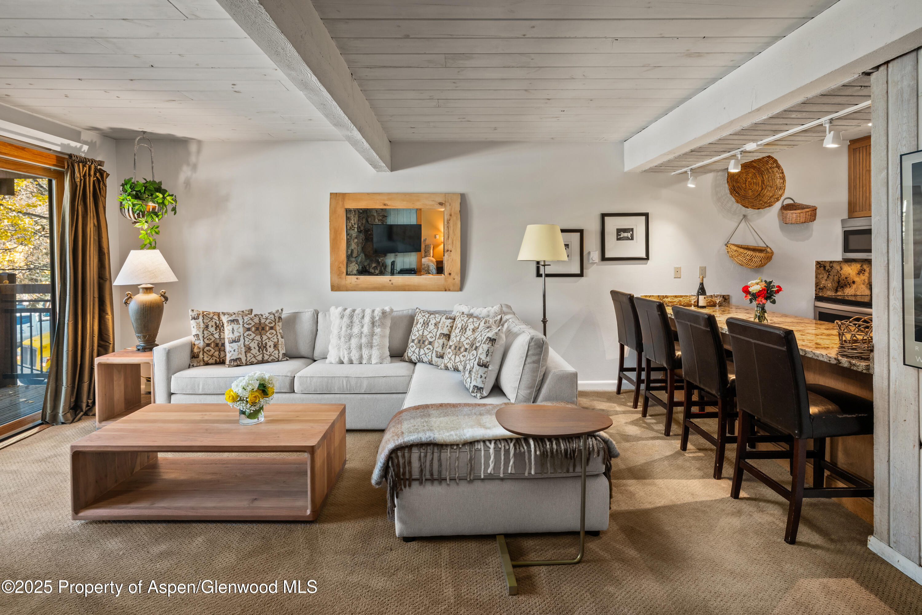 131 E Durant Avenue Aspen CO 81611