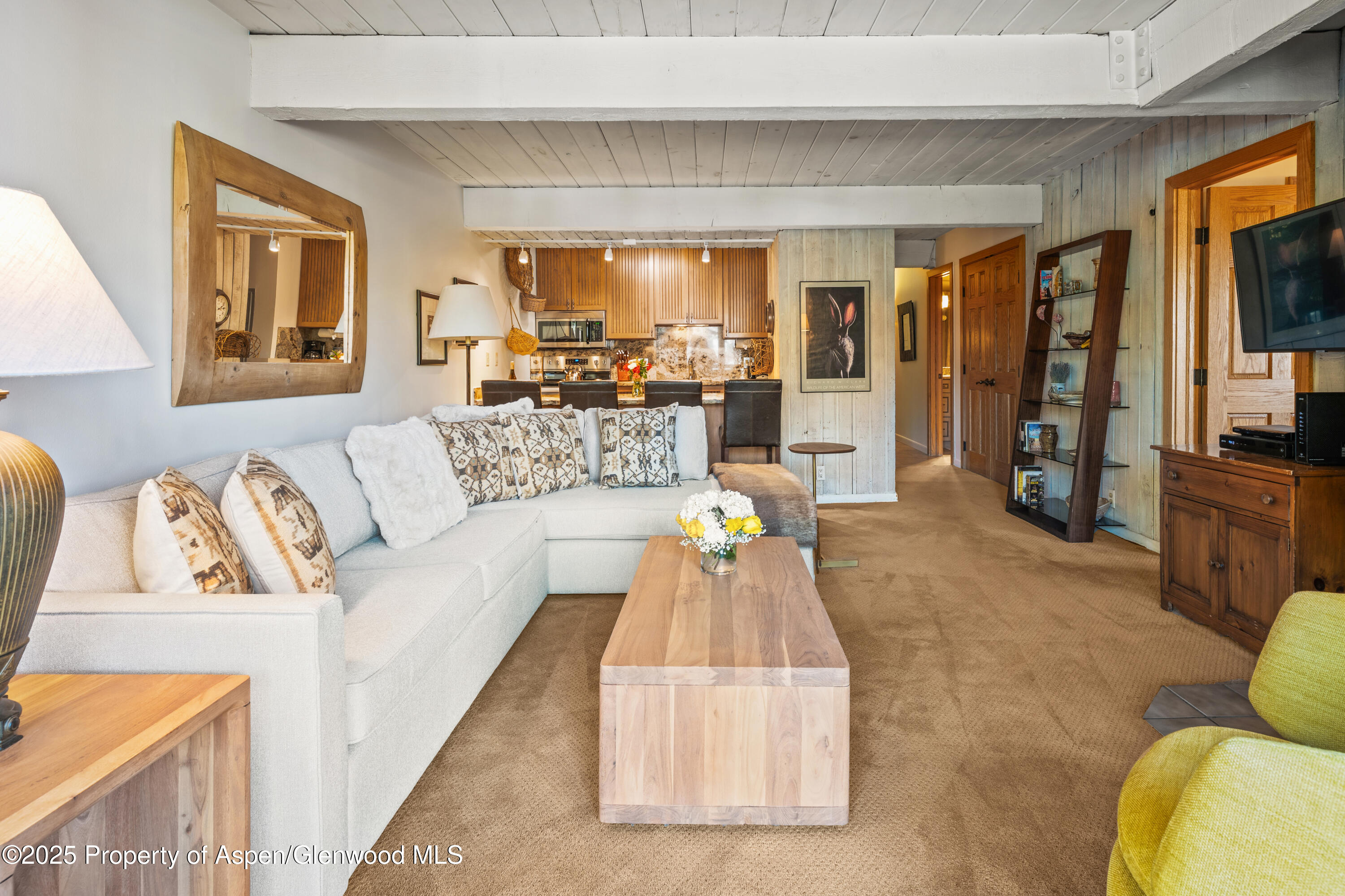 131 E Durant Avenue Aspen CO 81611