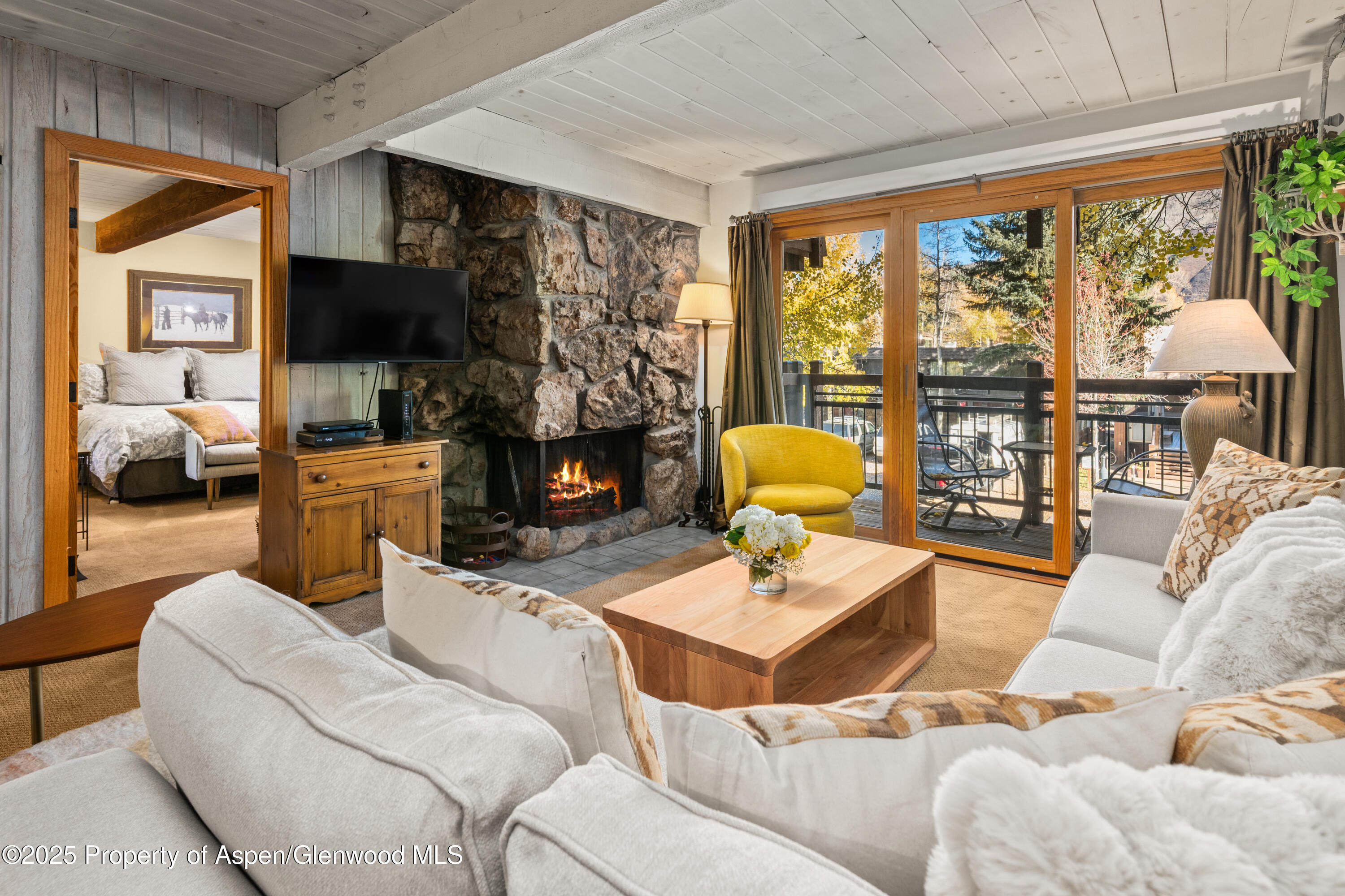 131 E Durant Avenue Aspen CO 81611