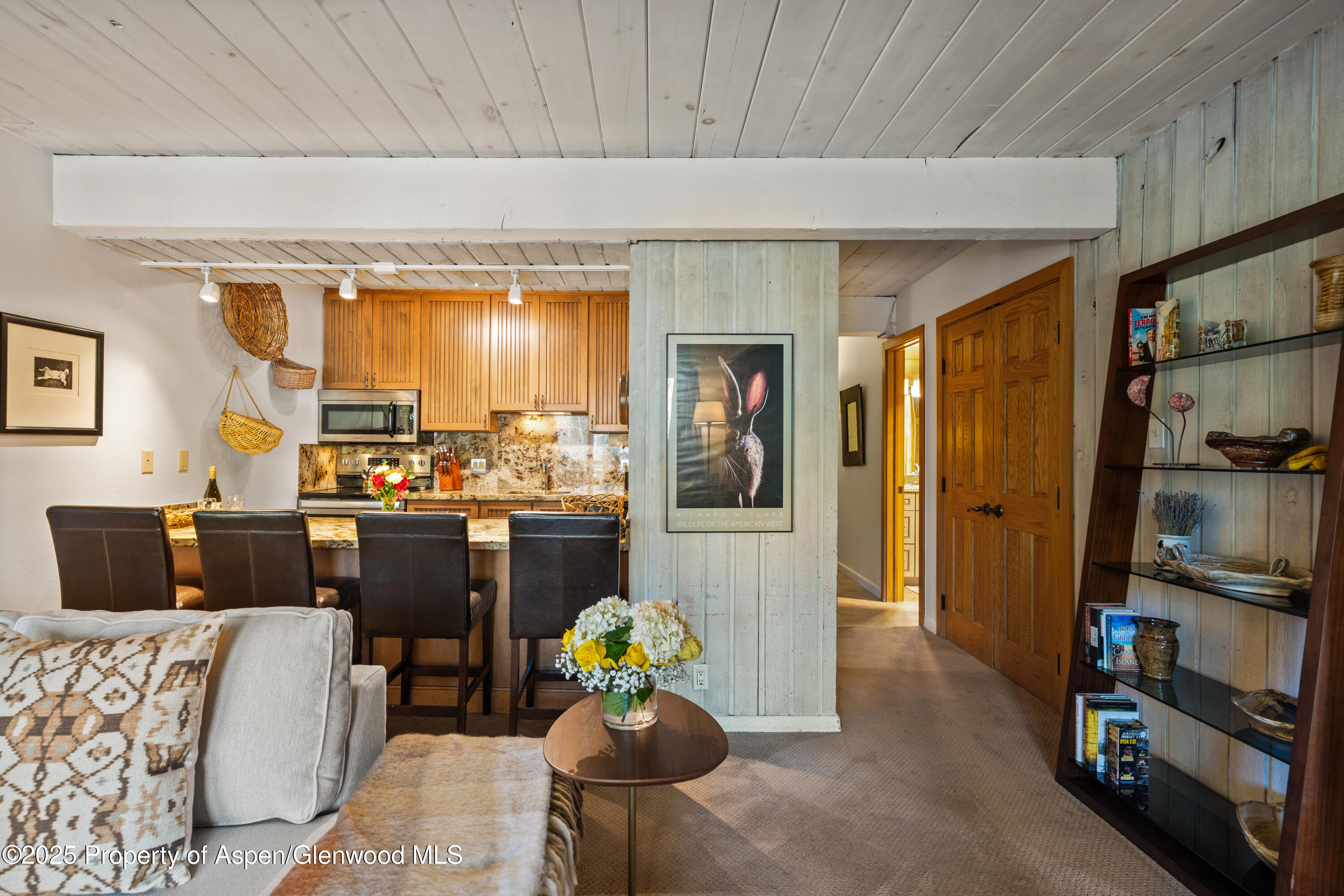 131 E Durant Avenue Aspen CO 81611