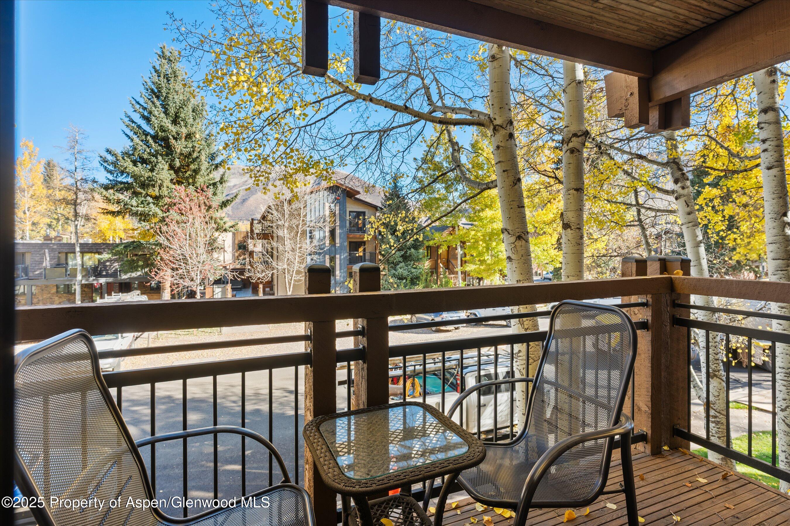 131 E Durant Avenue Aspen CO 81611