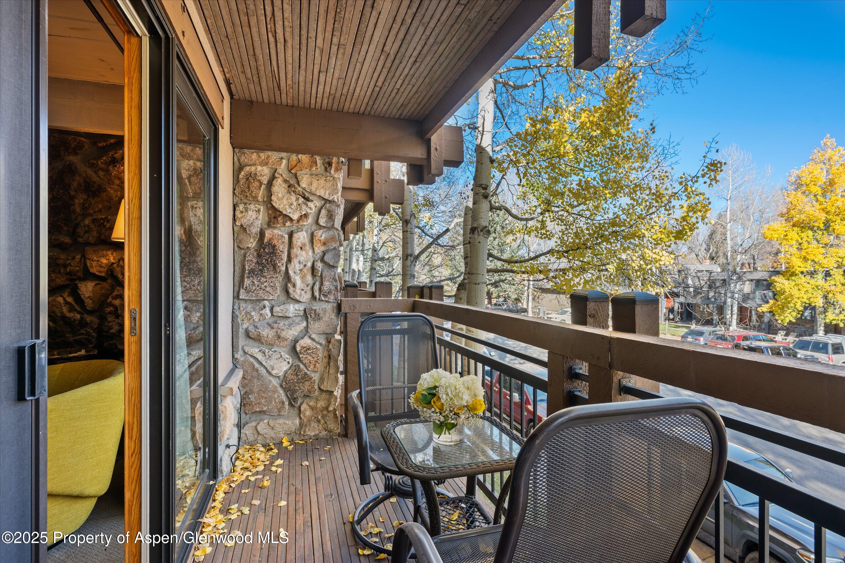 131 E Durant Avenue Aspen CO 81611