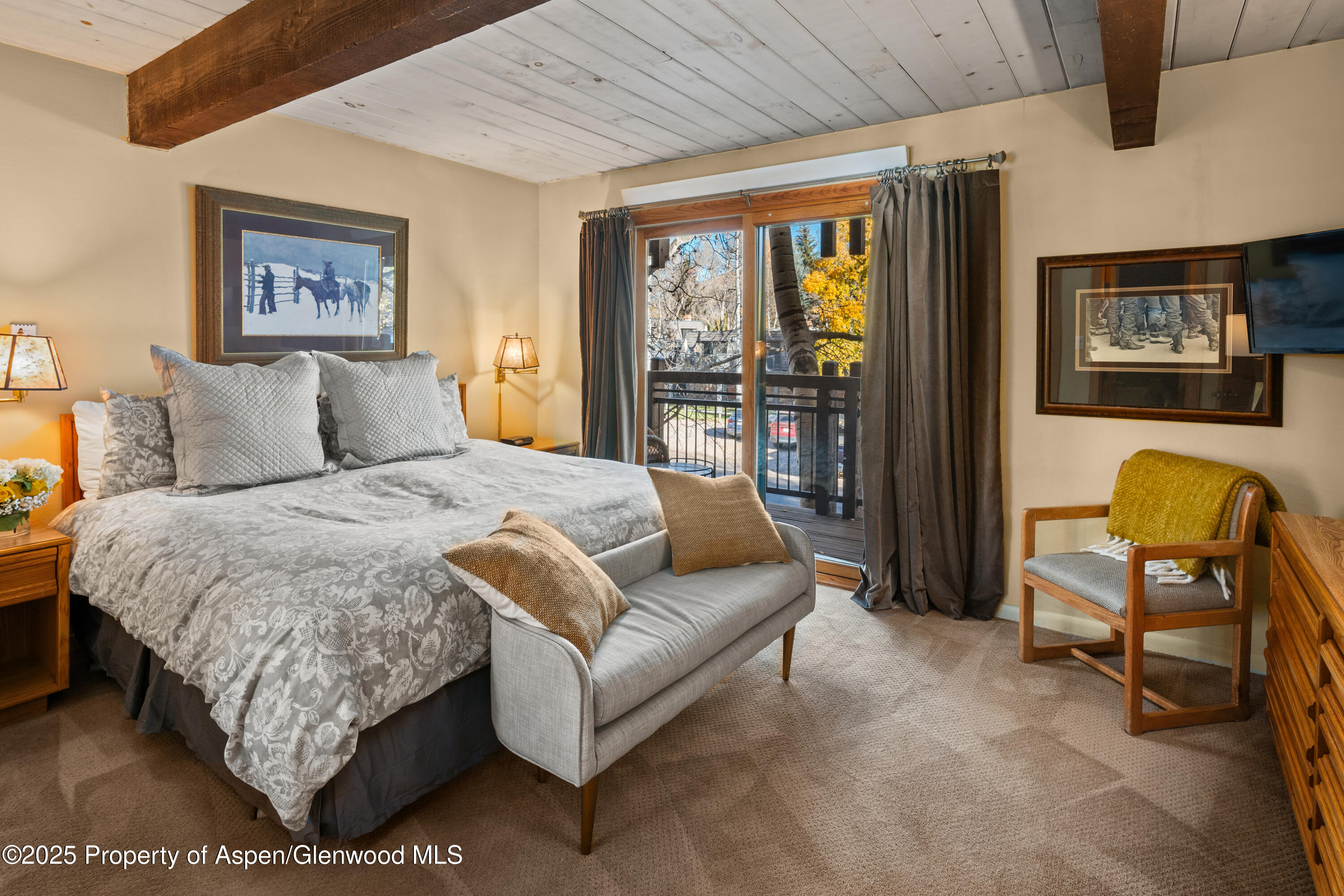 131 E Durant Avenue Aspen CO 81611