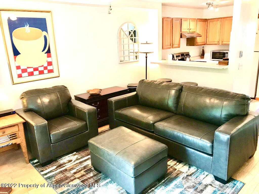 2600 S South Oak Hurst Court Glenwood Springs CO 81601