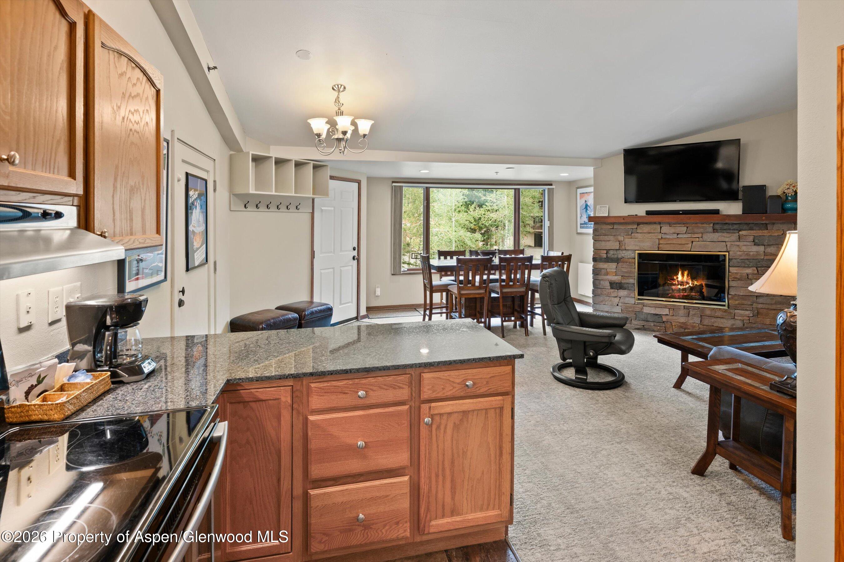 65 Campground Lane Snowmass Village CO 81615