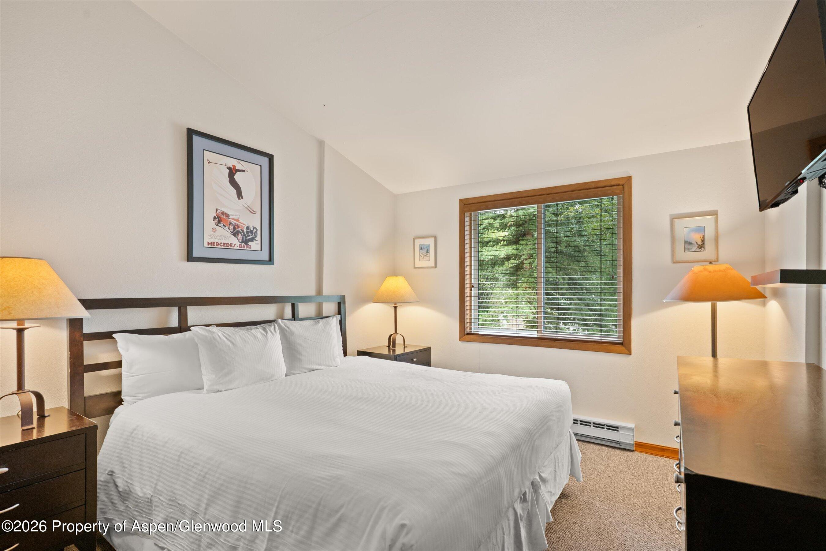 65 Campground Lane Snowmass Village CO 81615