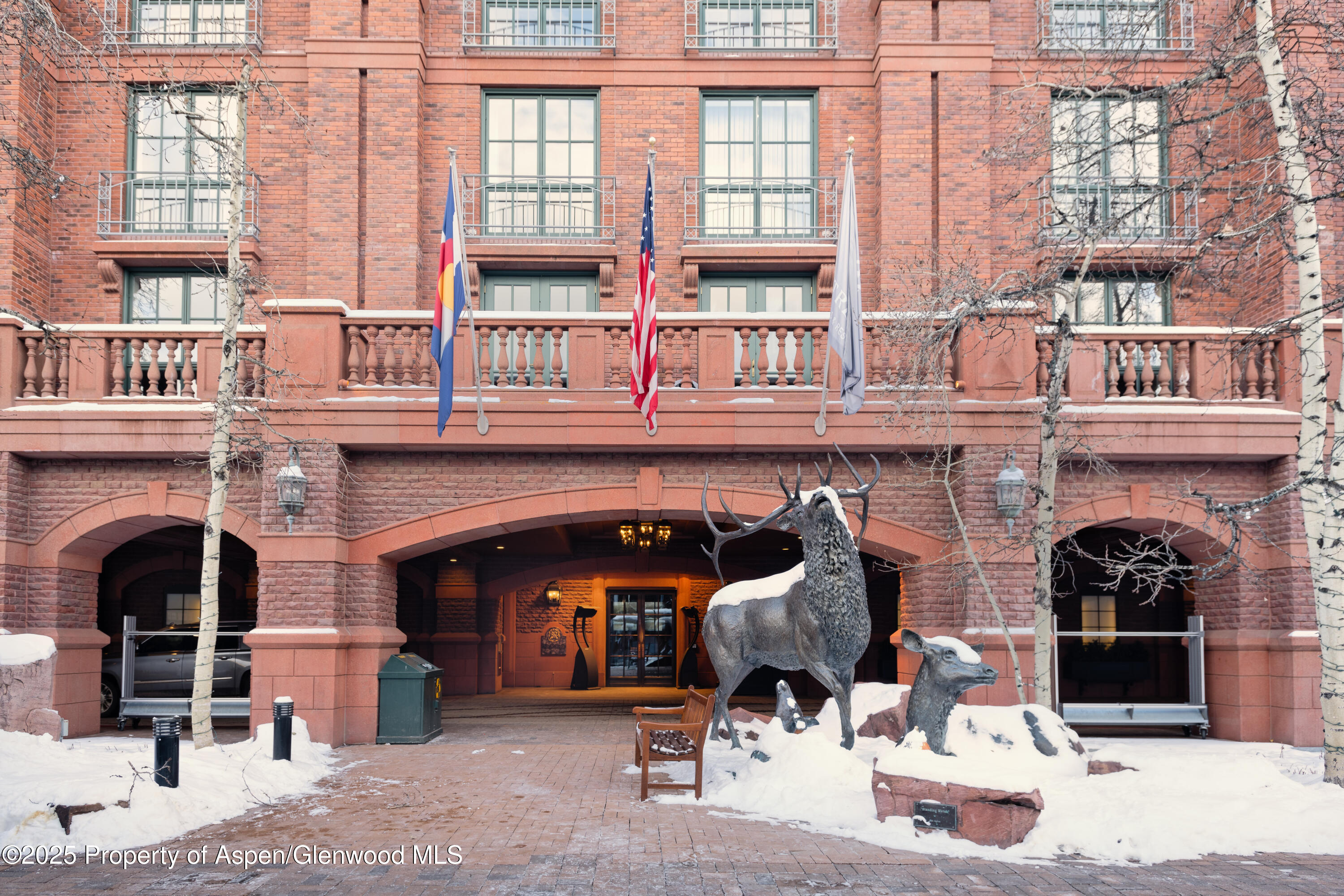 315 E Dean Street Aspen CO 81611