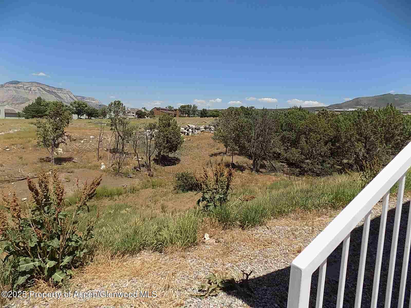 33 Angelica Circle Parachute CO 81635