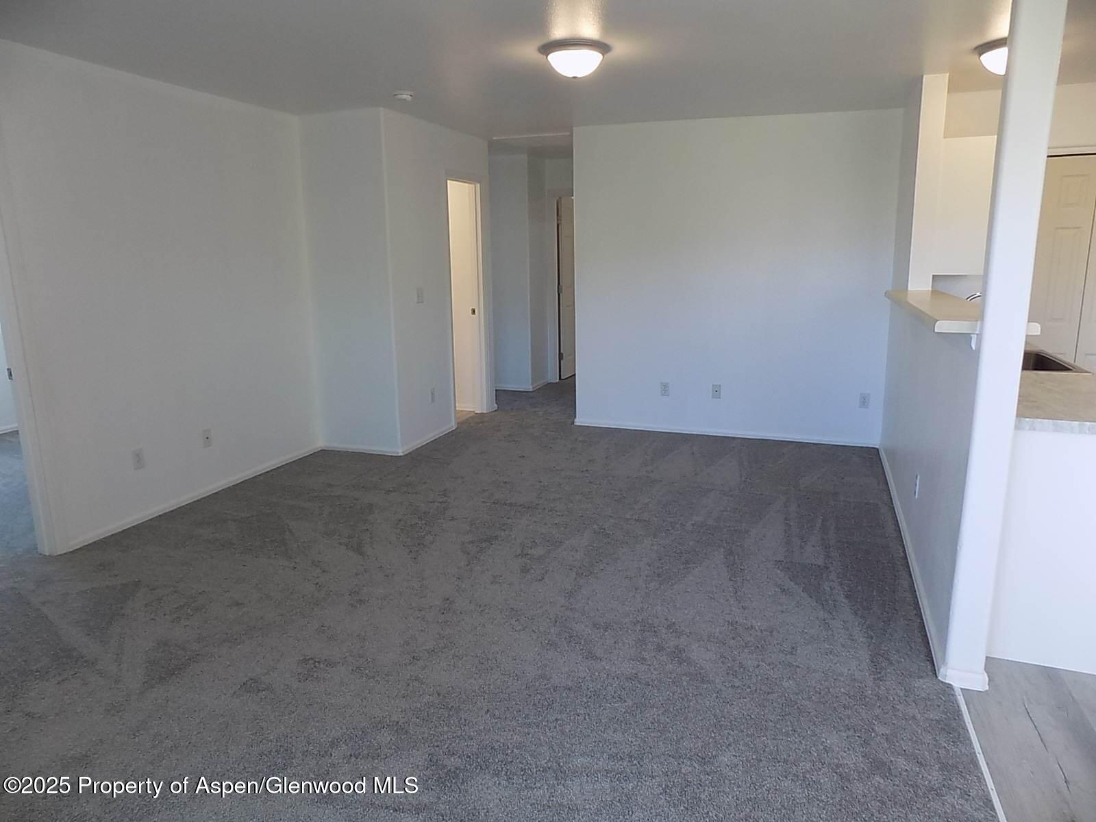 33 Angelica Circle Parachute CO 81635