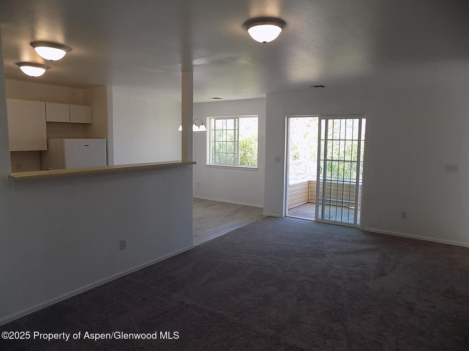 33 Angelica Circle Parachute CO 81635