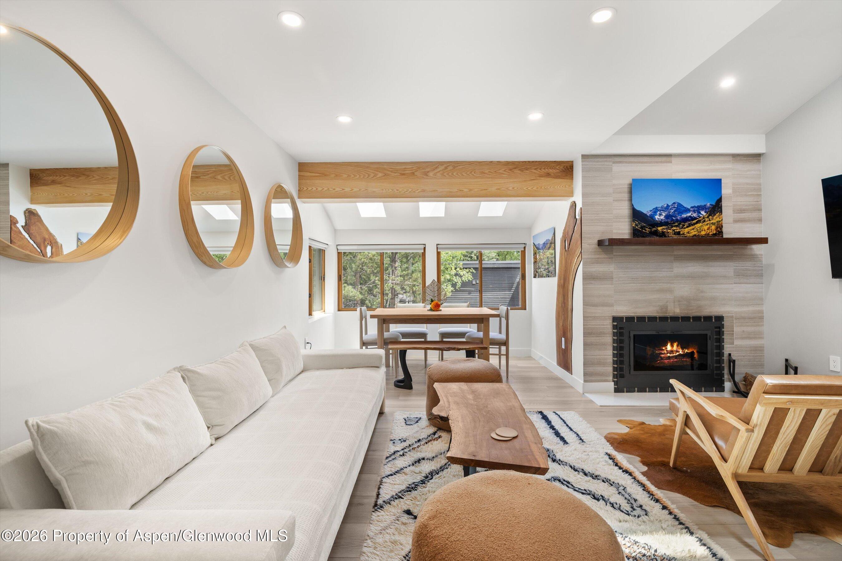 910 W Hallam Street Aspen CO 81611
