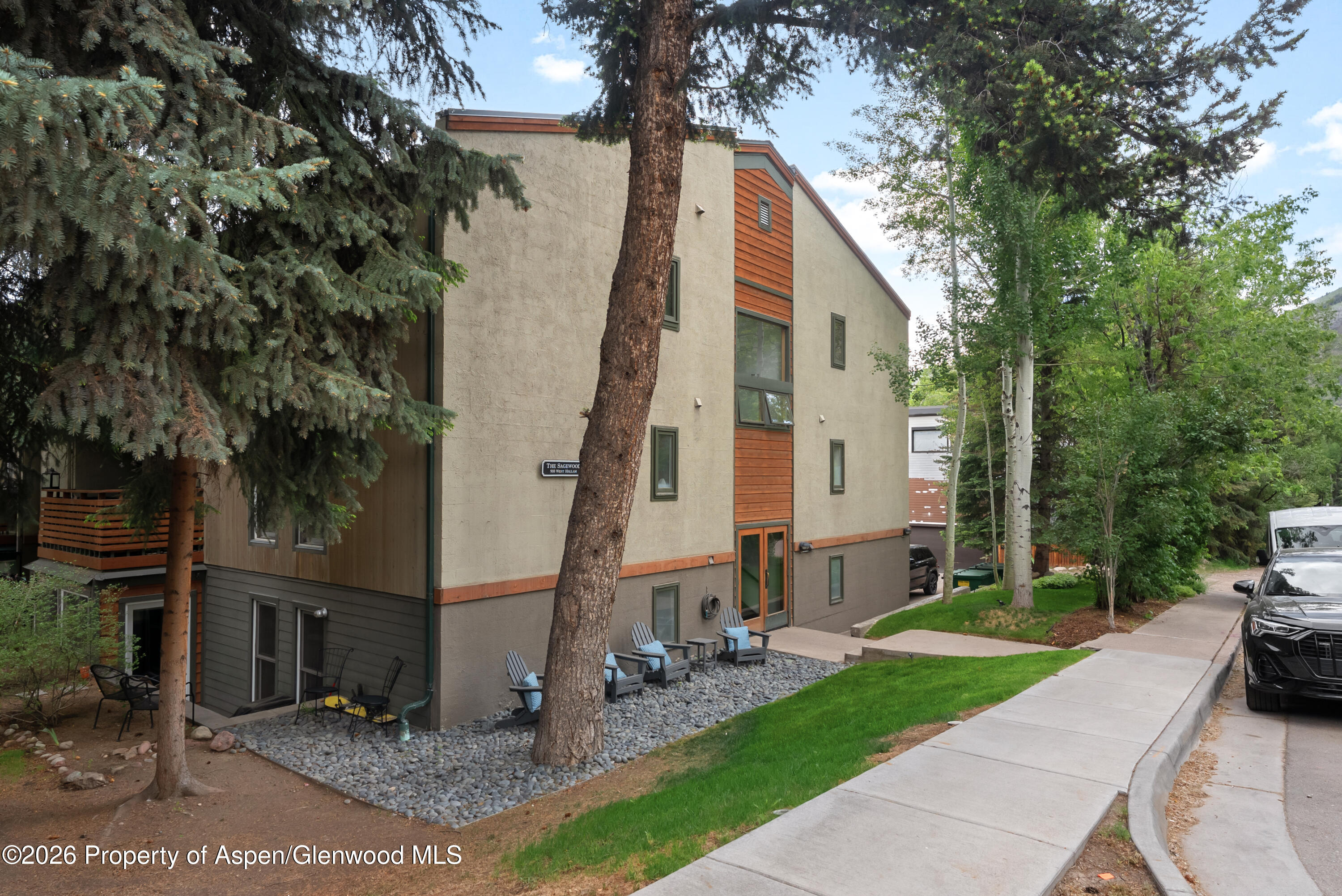 910 W Hallam Street Aspen CO 81611